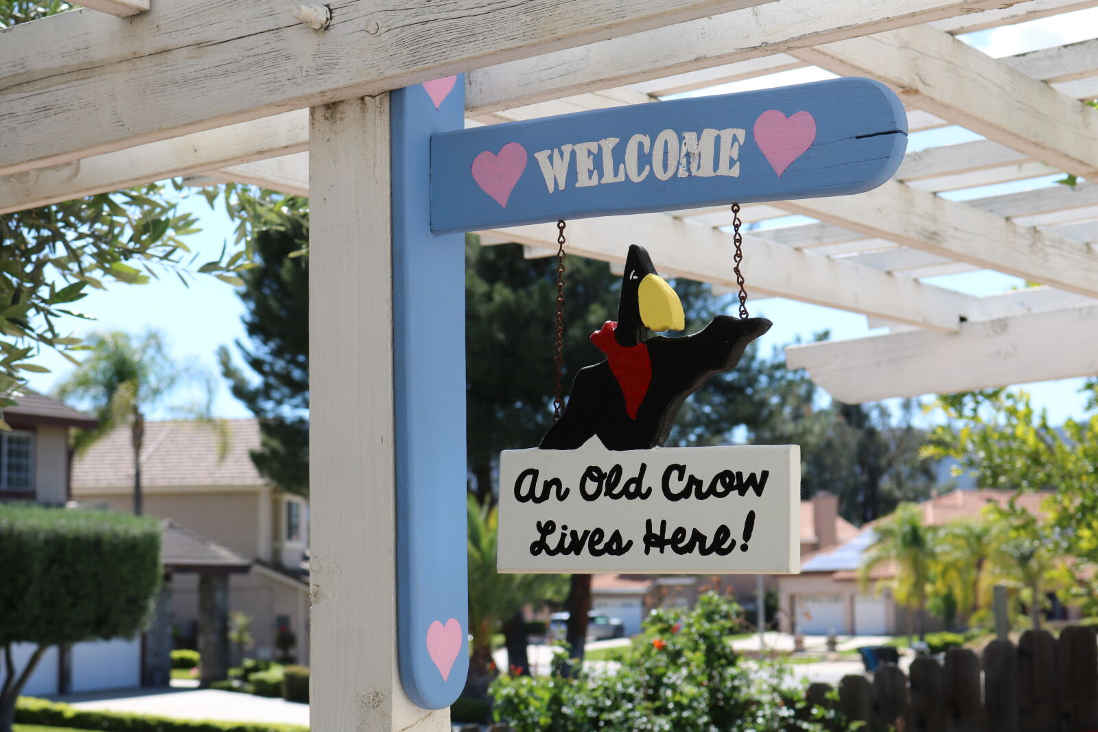 Canon EOS 750D (EOS Rebel T6i / EOS Kiss X8i) sample photo. Arts, and, crafts, crow photography