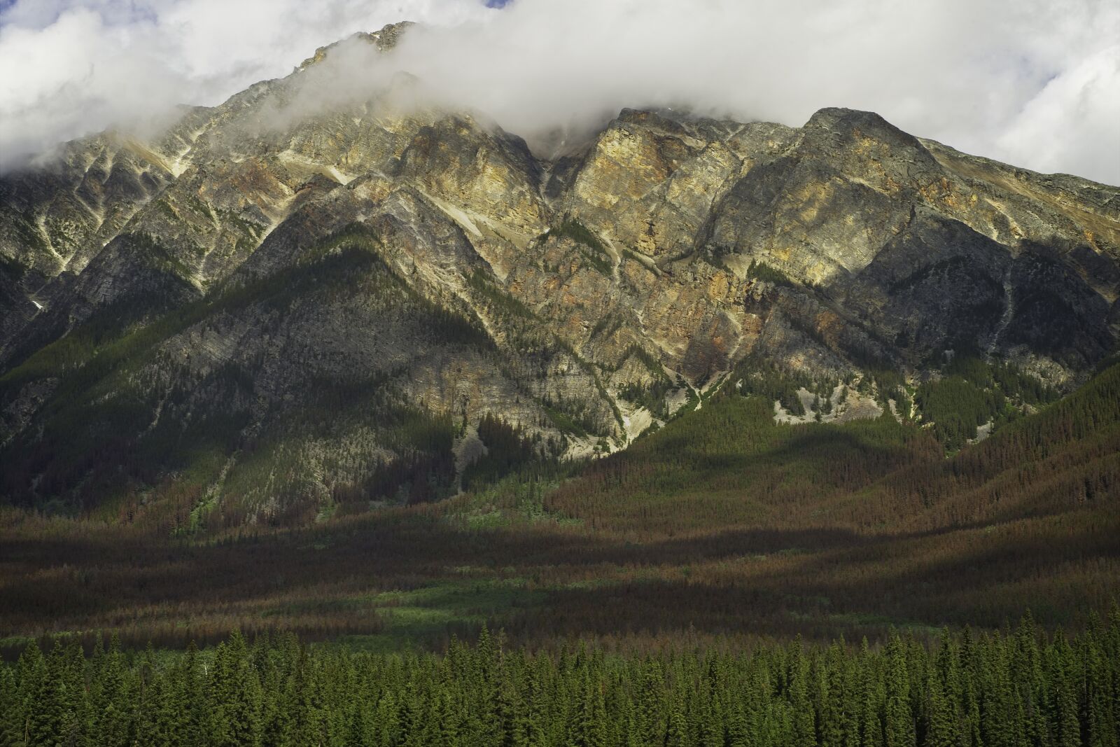 Sony FE 24-105mm F4 G OSS sample photo. Mountain, forest, sky photography