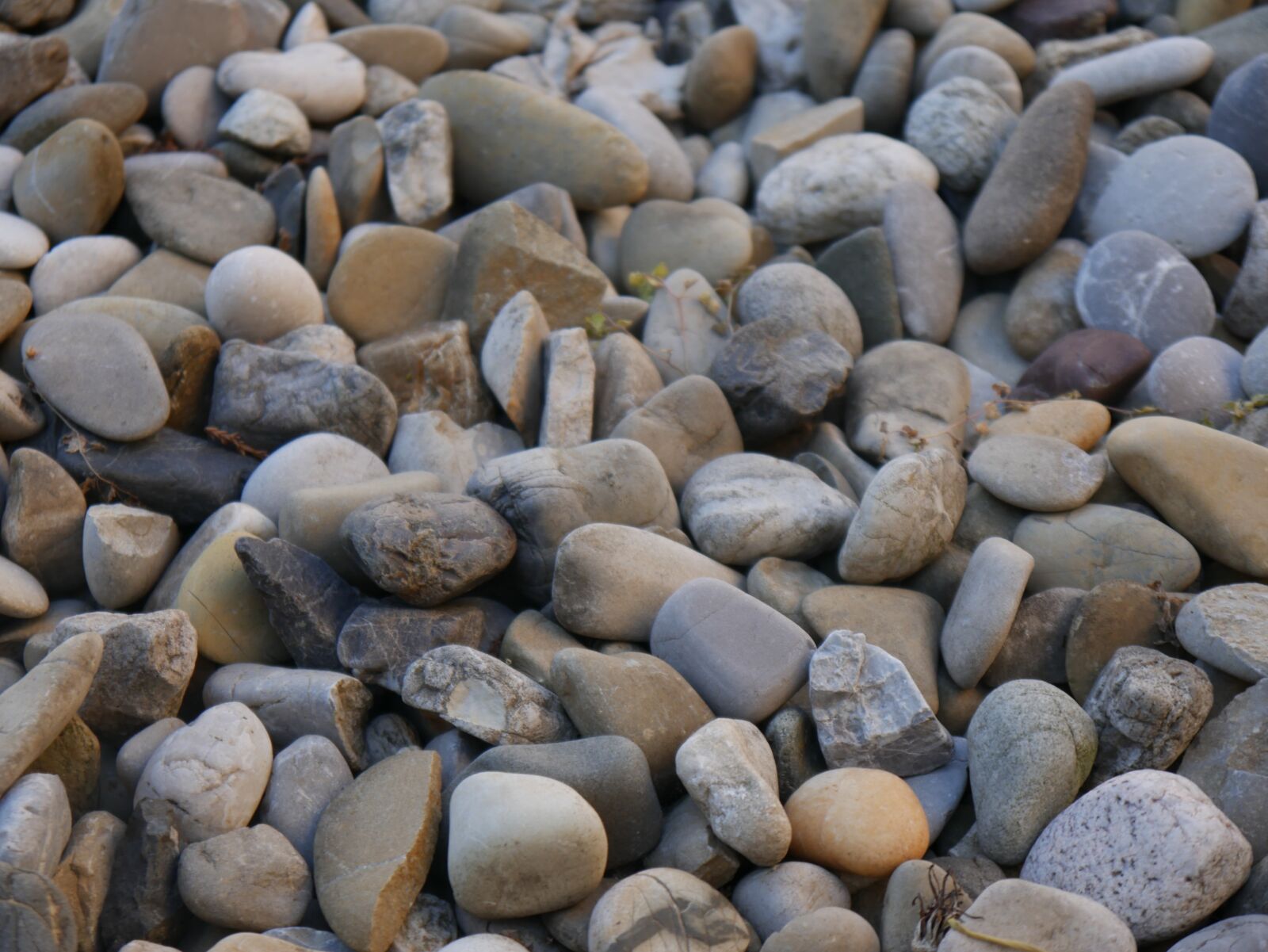 Panasonic DMC-G70 sample photo. Pebble, stones, pebbles photography