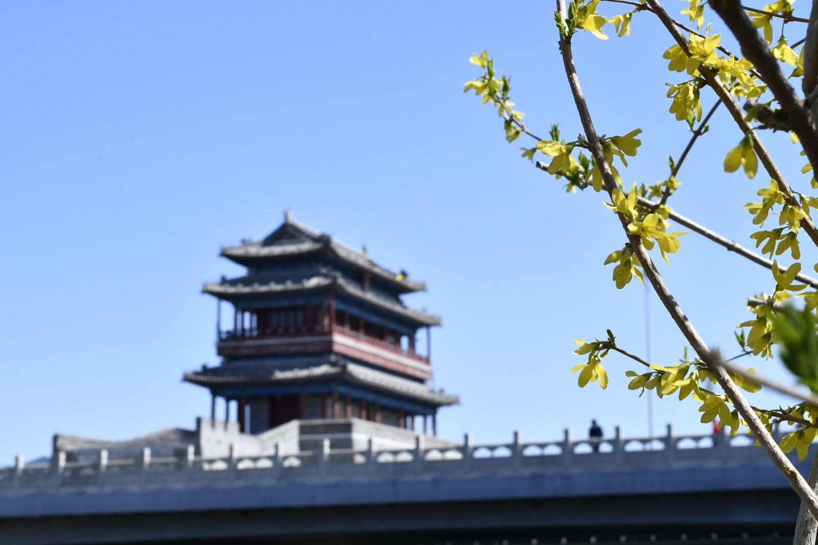 Nikon D7500 sample photo. Building, china, ancient times photography