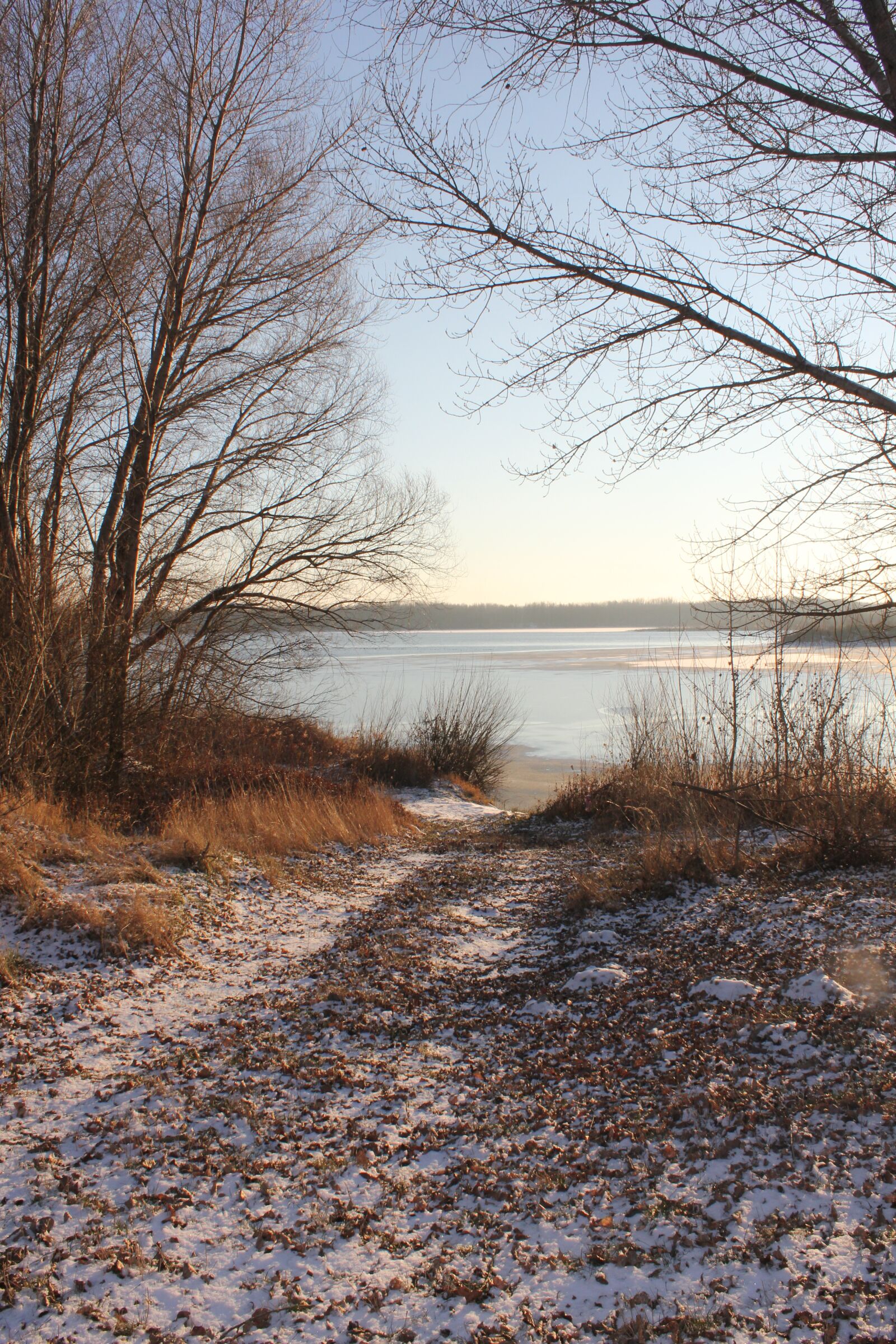Canon EOS 550D (EOS Rebel T2i / EOS Kiss X4) sample photo. Winter, snow, path photography