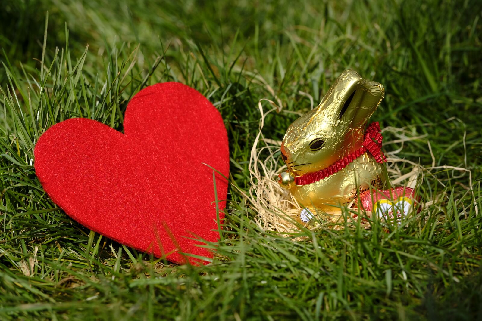 Fujifilm X-T2 + Fujifilm XF 80mm F2.8 R LM OIS WR Macro sample photo. Hare, easter bunny, easter photography