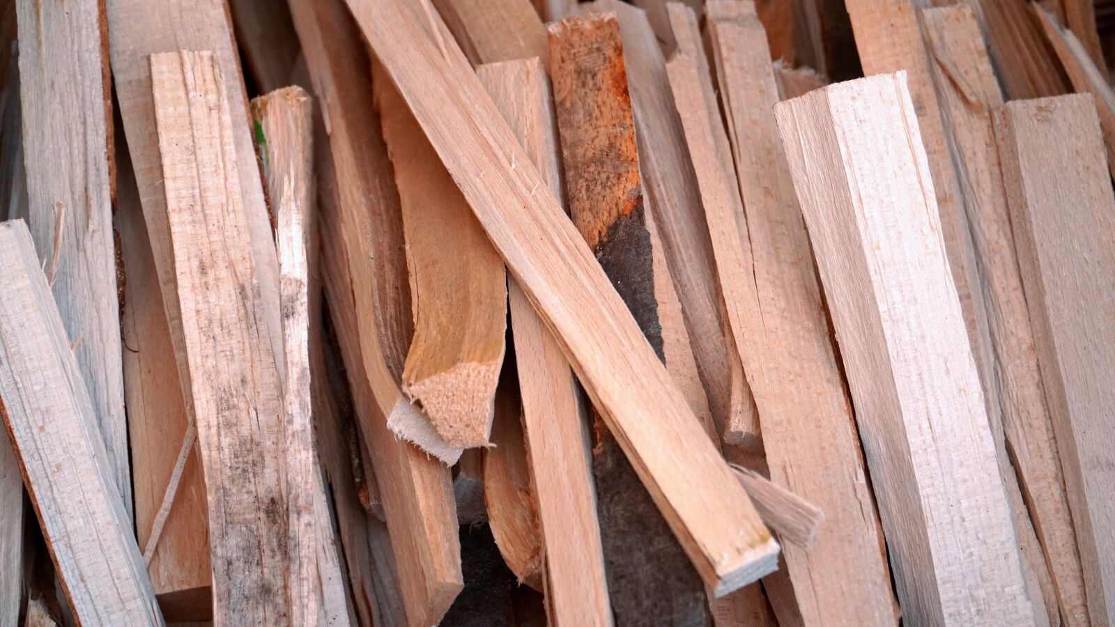 Sony E PZ 18-105mm F4 G OSS sample photo. Wood, beech, heat photography
