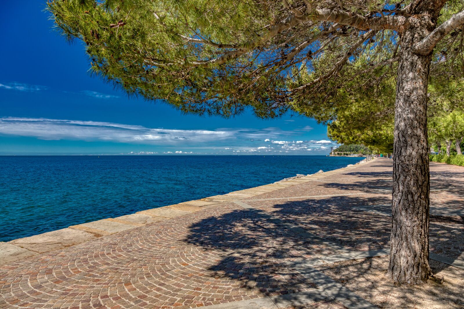 Canon EOS 5D Mark IV sample photo. Italy, sea, travel photography