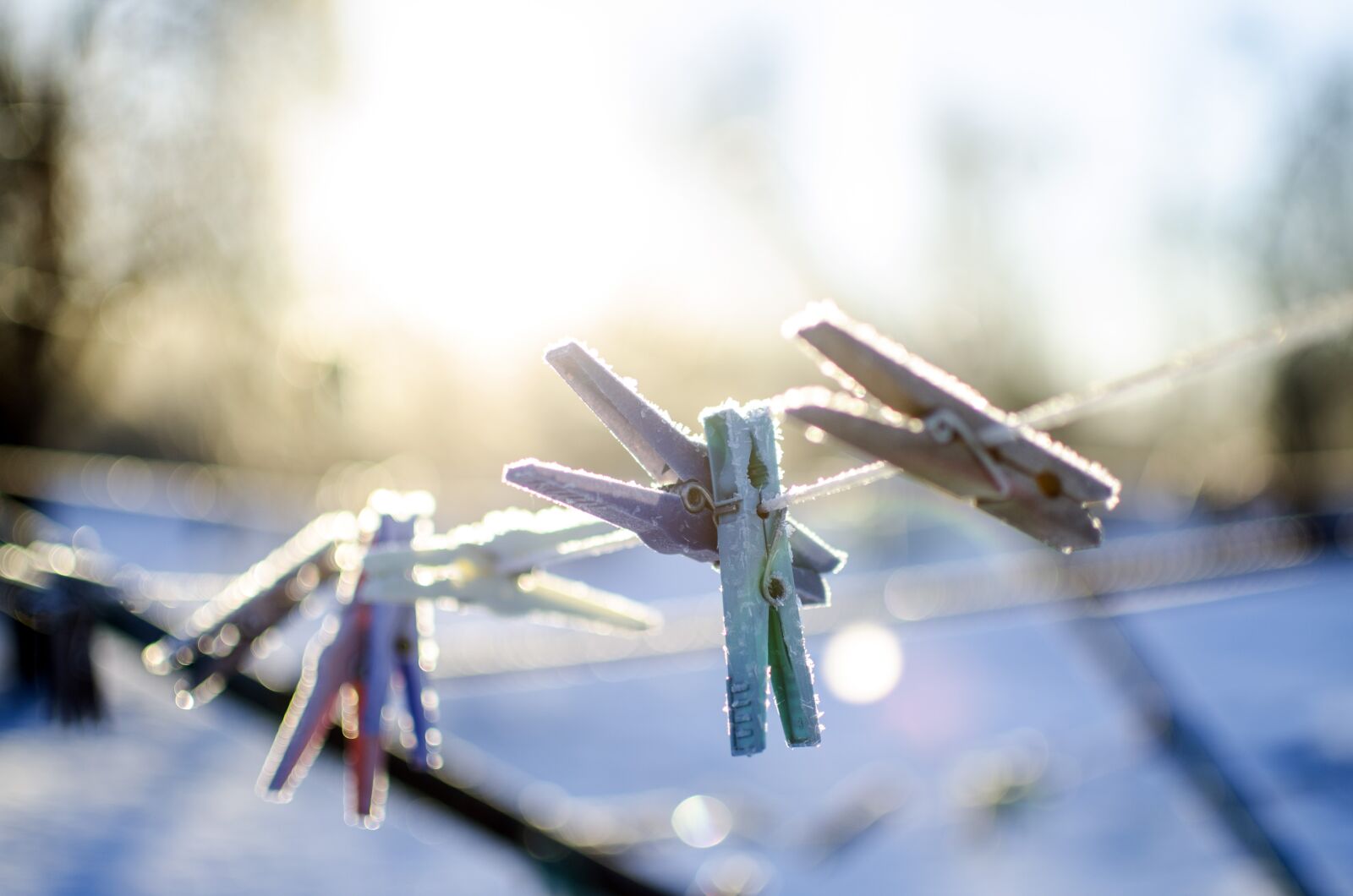 Nikon D7000 sample photo. Winter, cold, frost photography