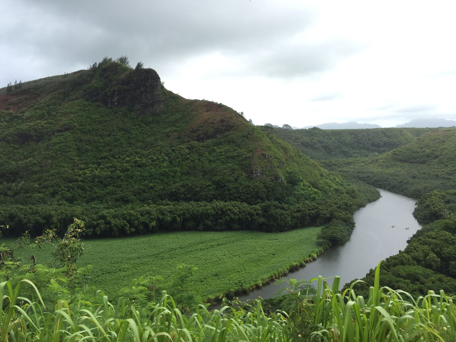iPhone 6 Plus back camera 4.15mm f/2.2 sample photo. Hawaii, big island, green photography