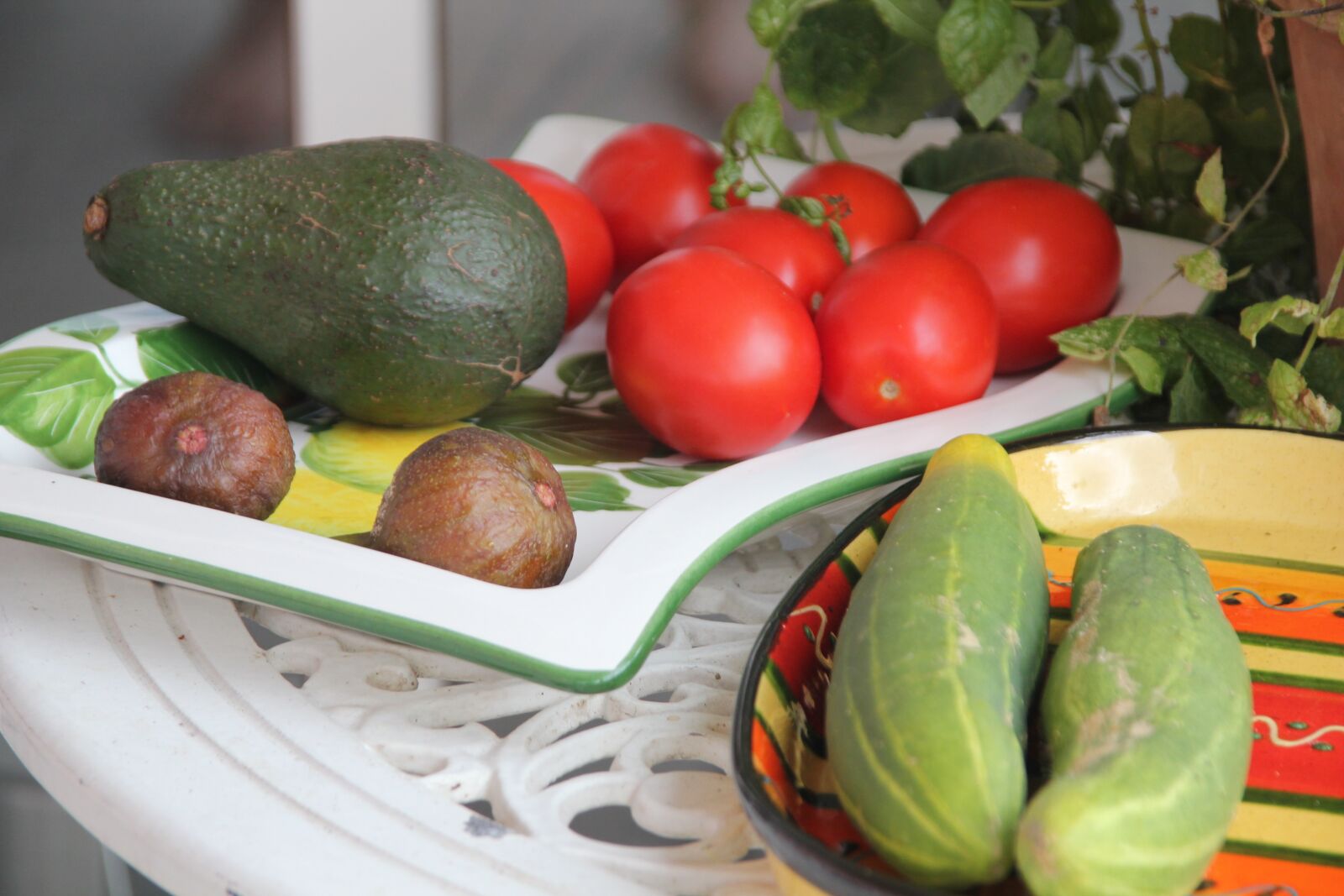 Canon EOS 550D (EOS Rebel T2i / EOS Kiss X4) sample photo. Vegetables, food, healthy photography