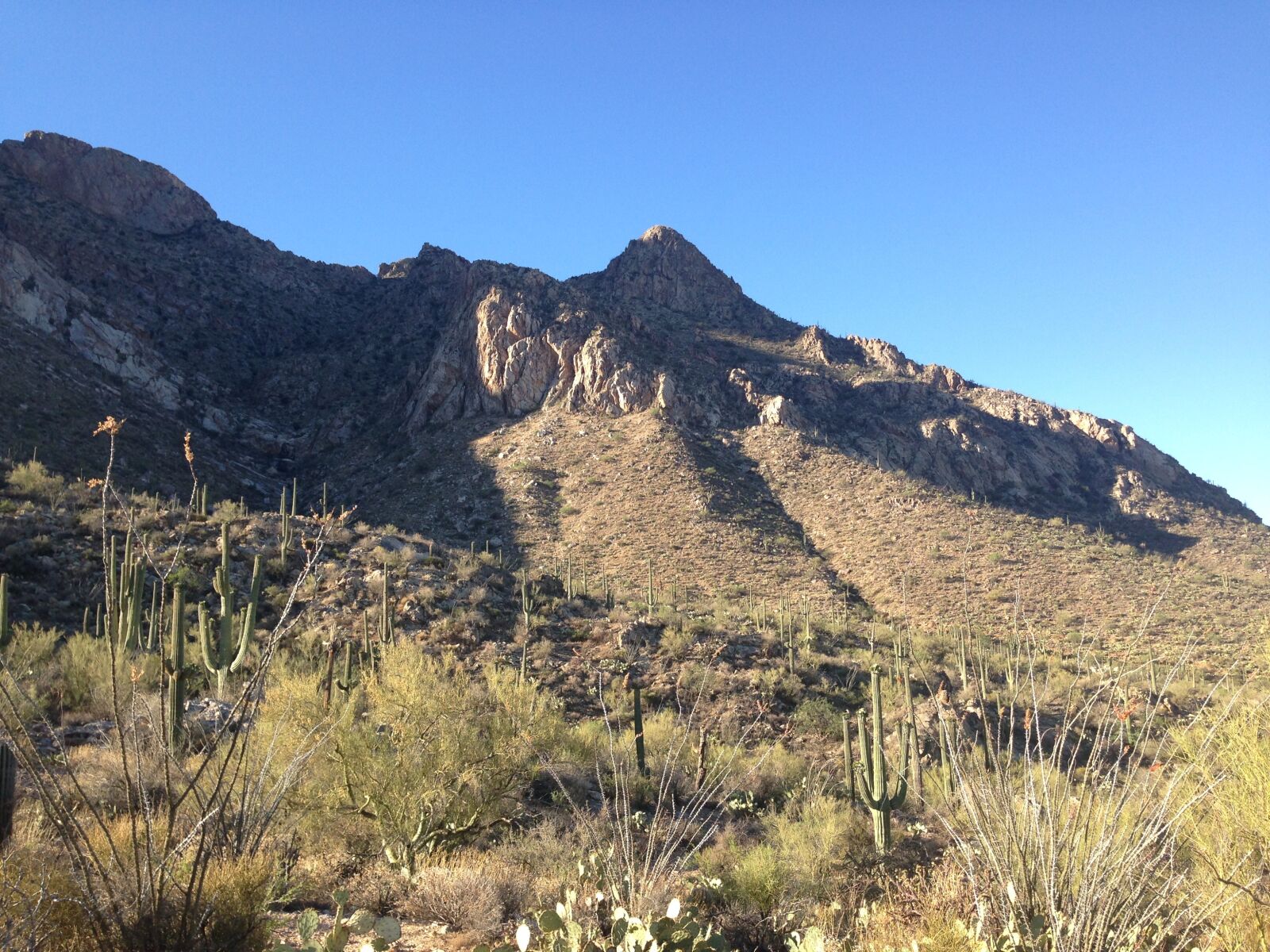 iPhone 5 back camera 4.12mm f/2.4 sample photo. Desert, mountain, arizona photography