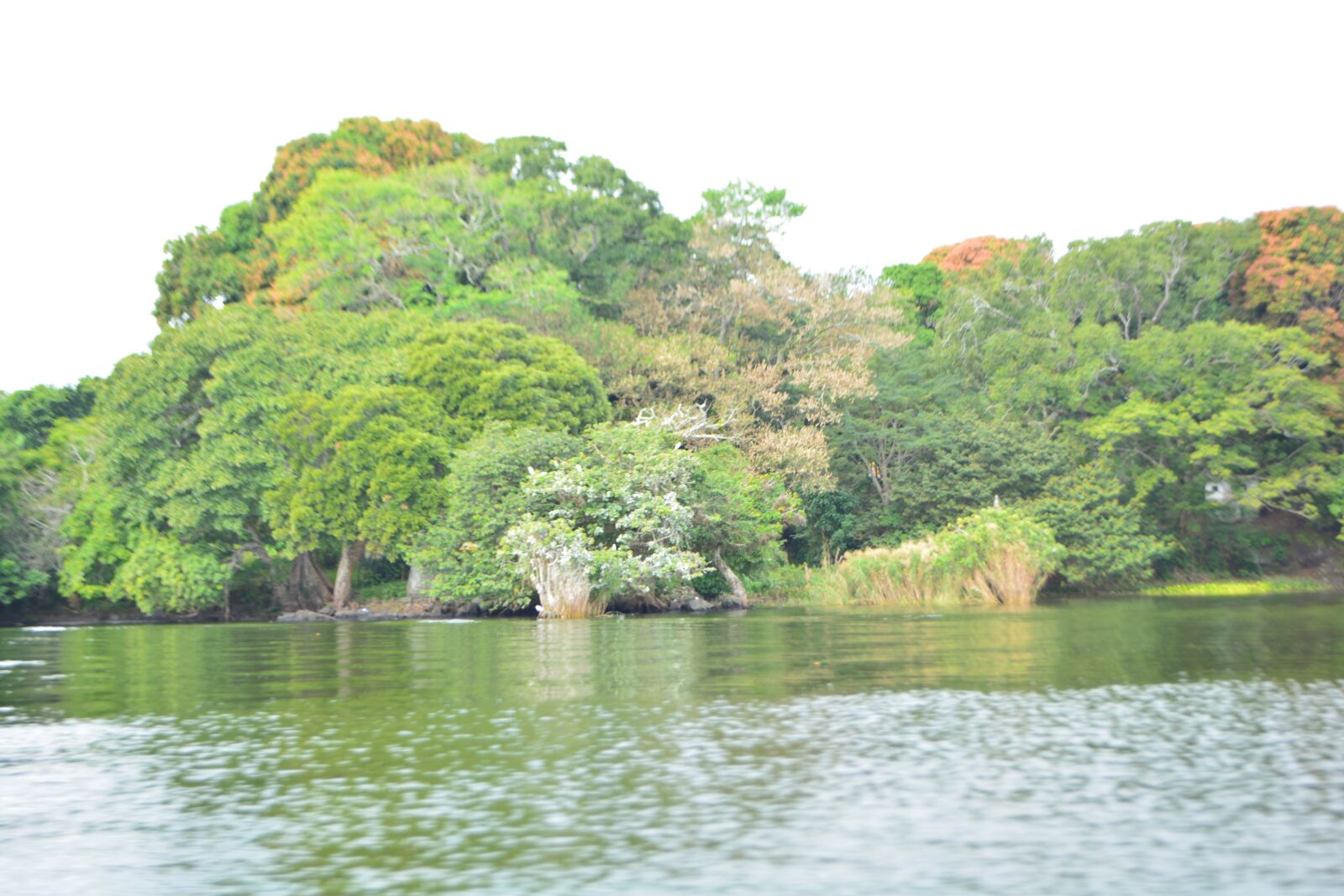 Nikon D5200 sample photo. Lake, natura, relax photography