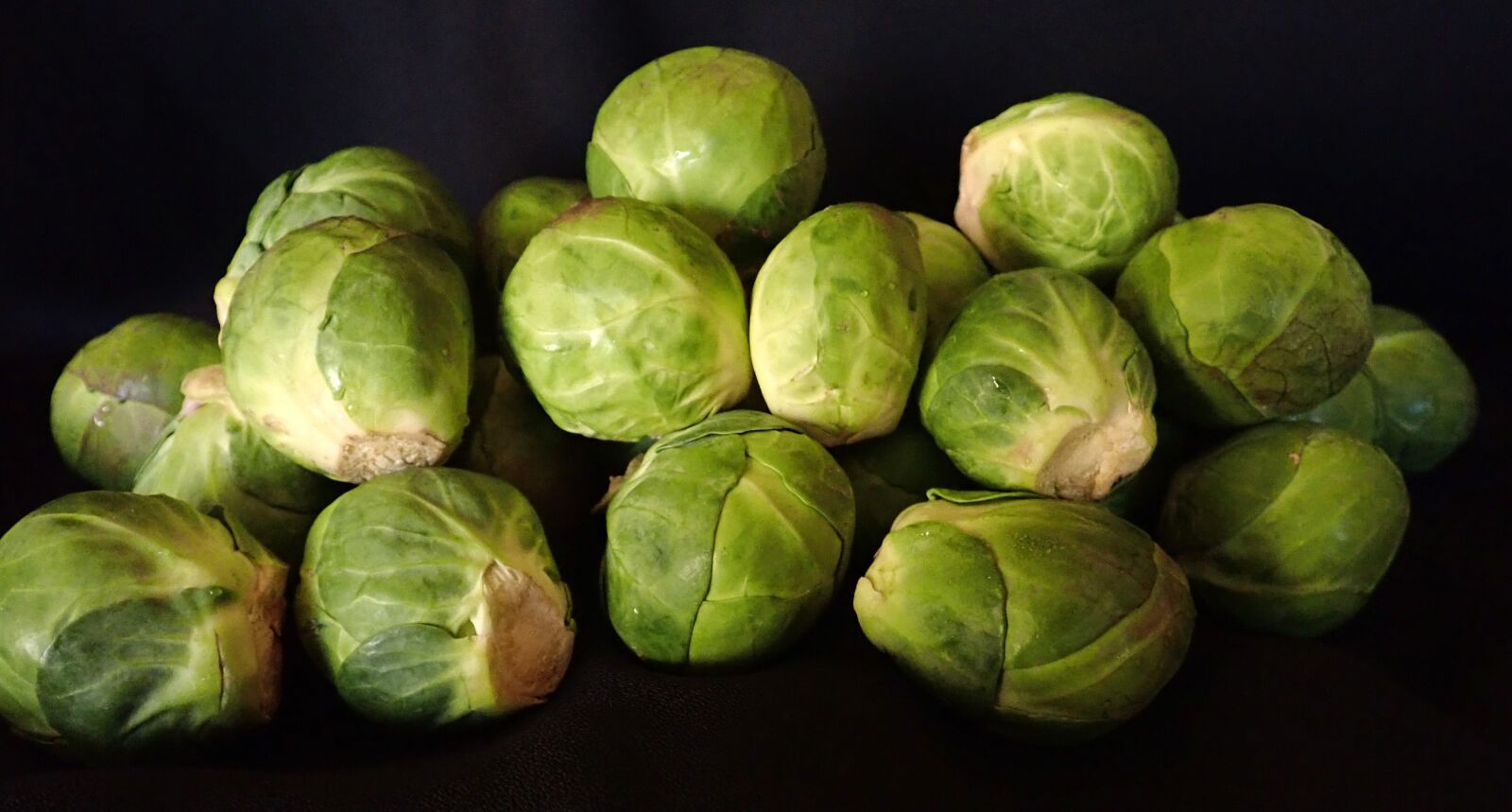 Olympus TG-5 sample photo. Sprouts, greens, vegetables photography