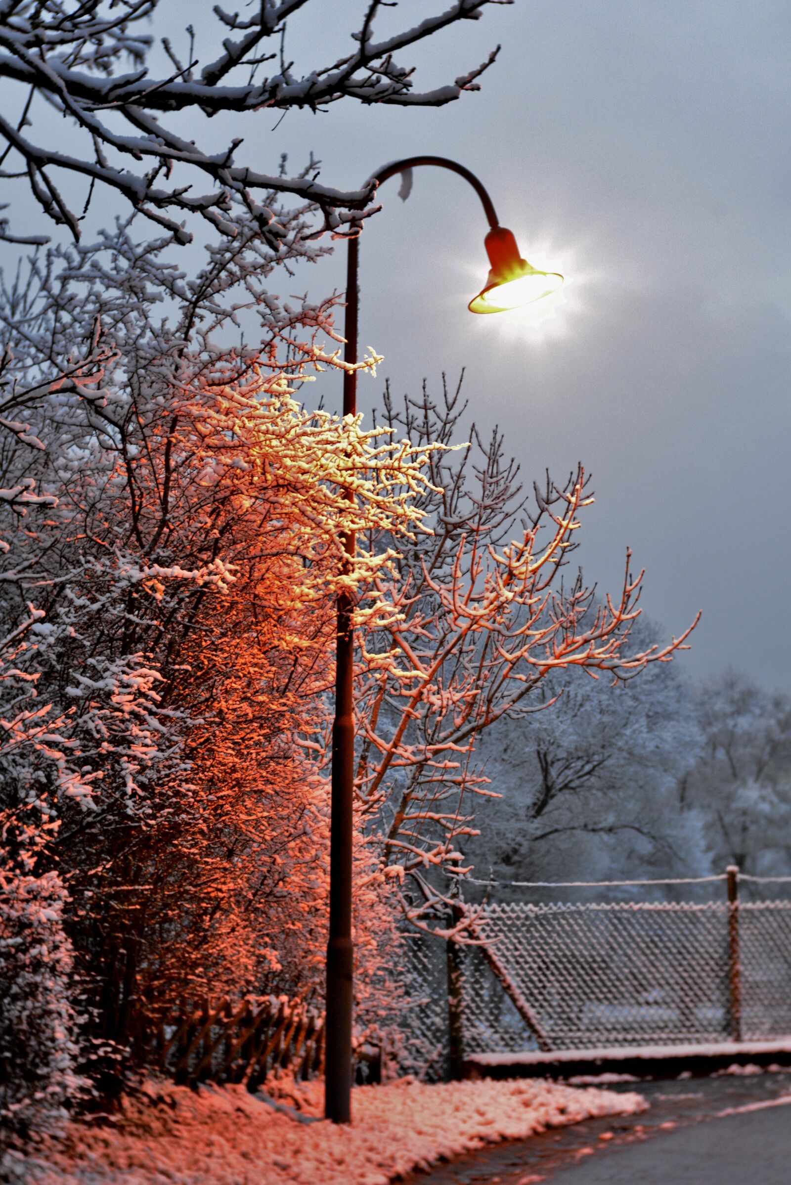 Nikon D600 sample photo. Lantern, lamp post, winter photography