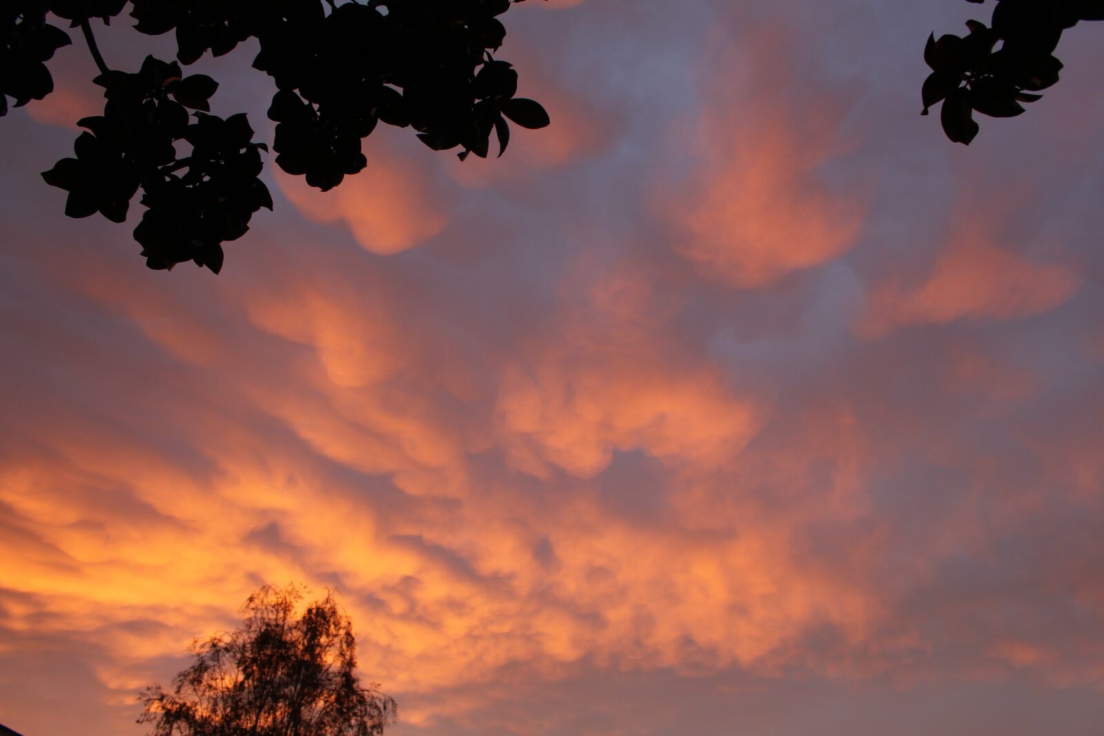 Canon EOS 700D (EOS Rebel T5i / EOS Kiss X7i) sample photo. Clouds, twilight, sunset photography