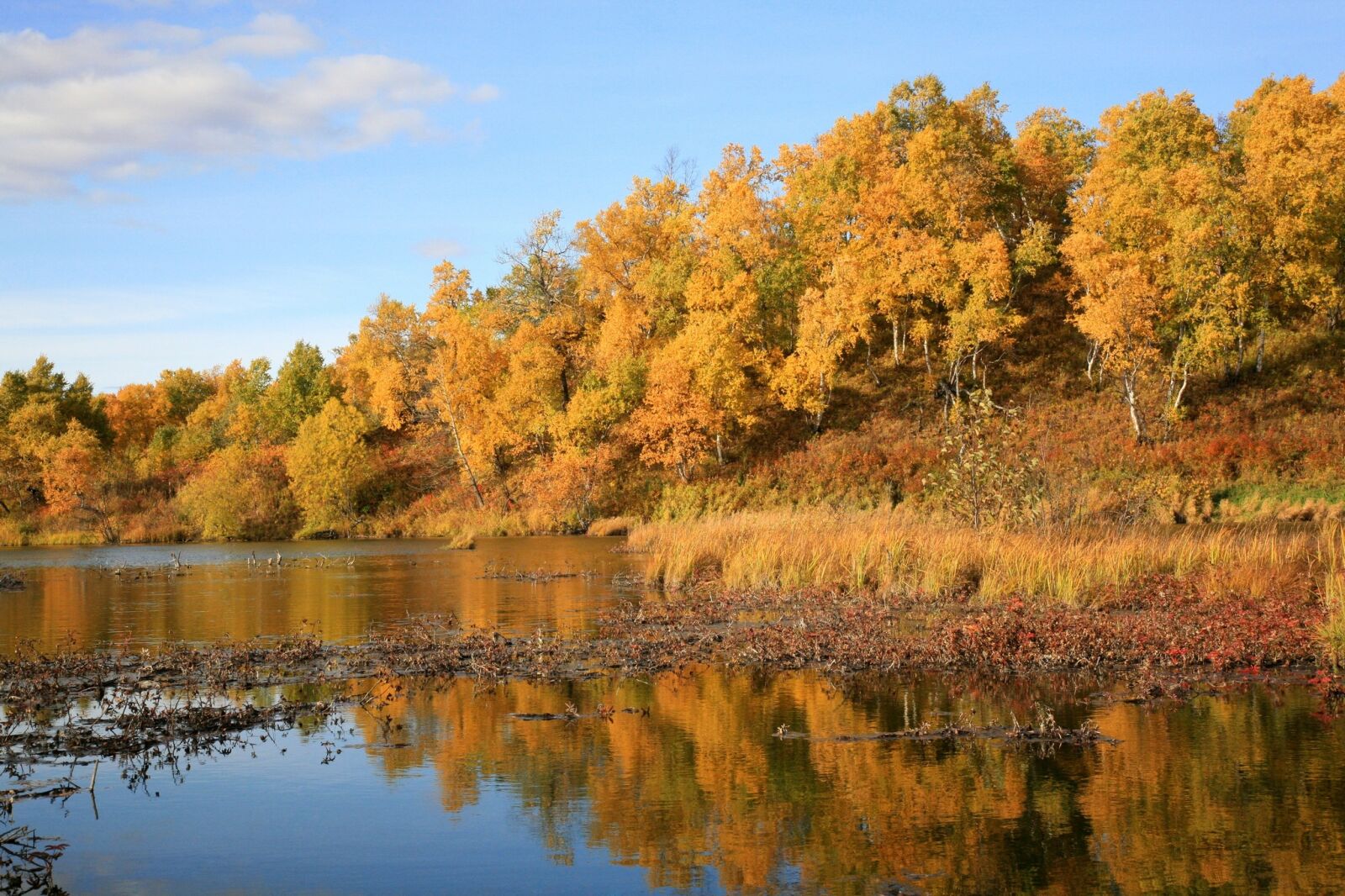 Canon EOS 5D sample photo. Autumn, forest, lake photography
