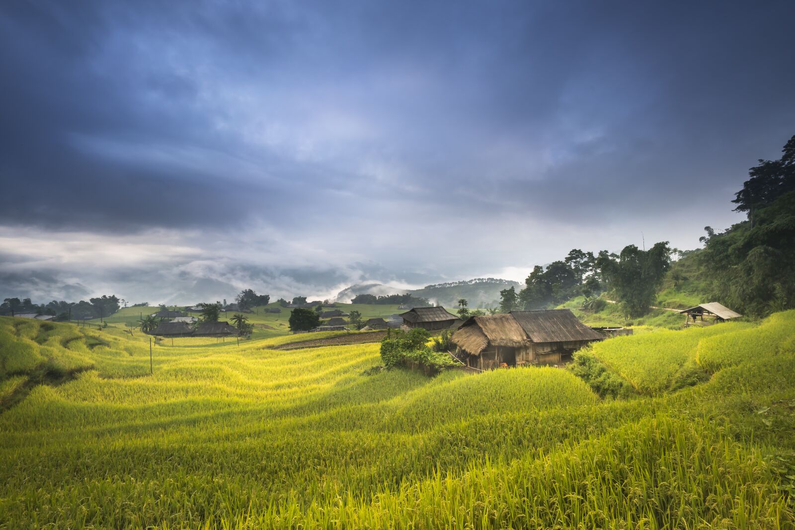 Voigtlander SUPER WIDE-HELIAR 15mm F4.5 III sample photo. Vietnam, terraces, rice photography