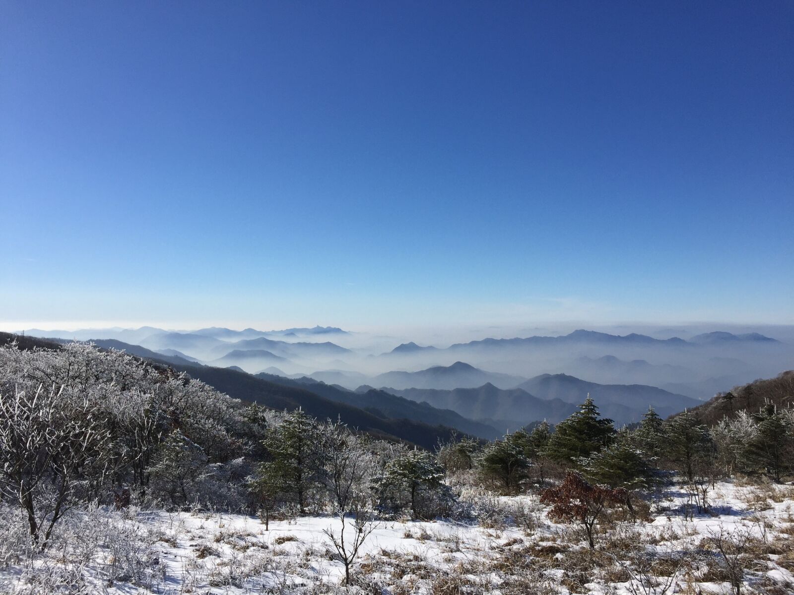 Apple iPhone 6 sample photo. Sobaeksan, winter mountain, mt photography