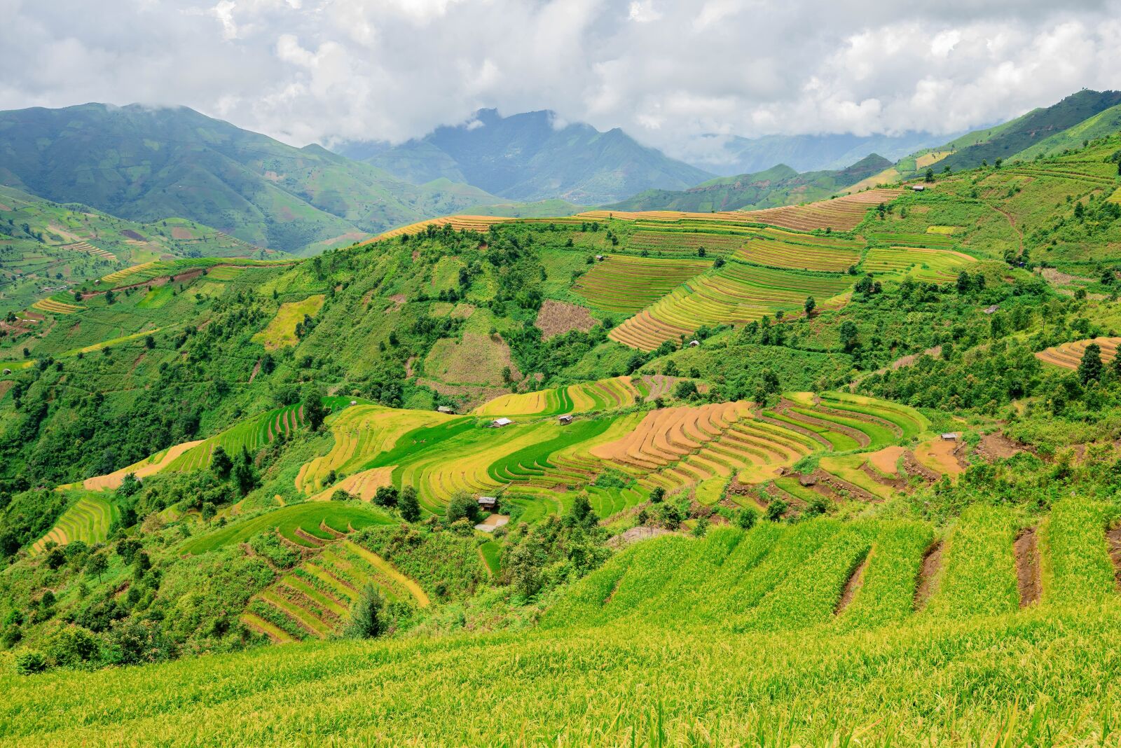 Nikon D750 sample photo. Terraces, rice terraces, rice photography