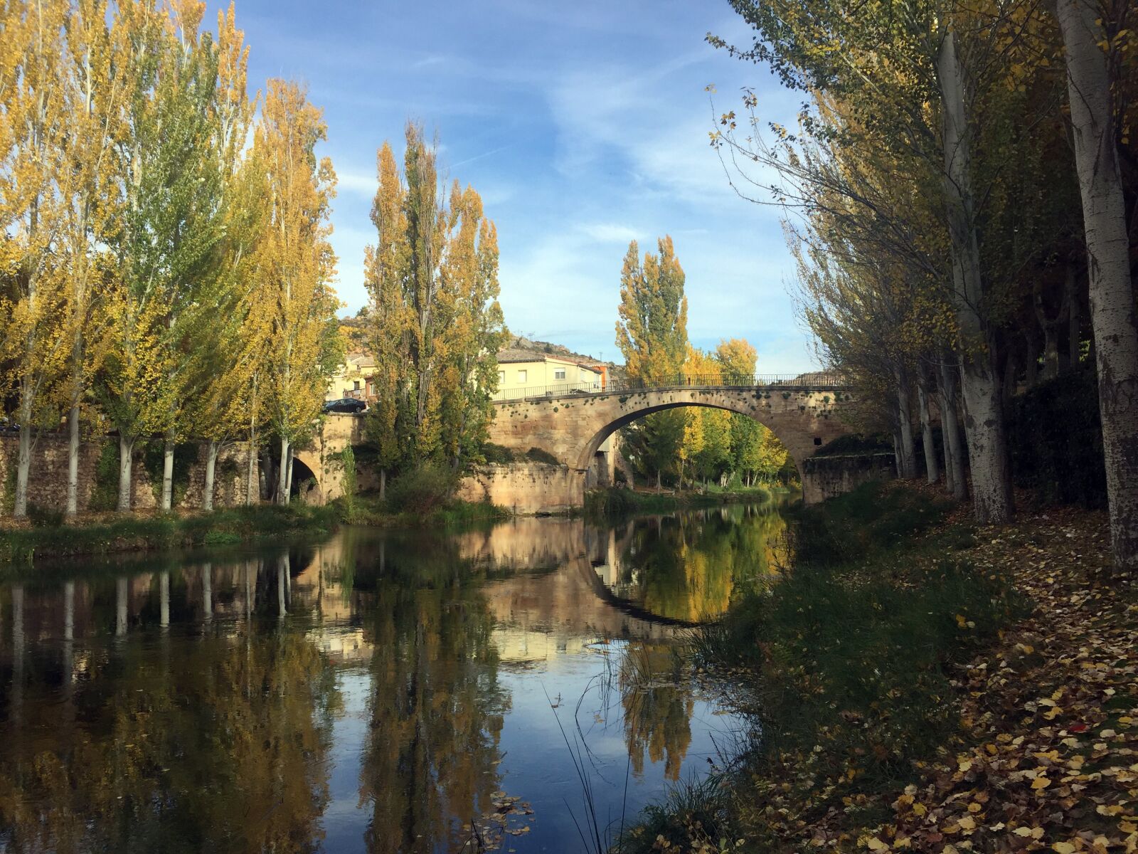 Apple iPhone 6 sample photo. River, autumn, trillo photography