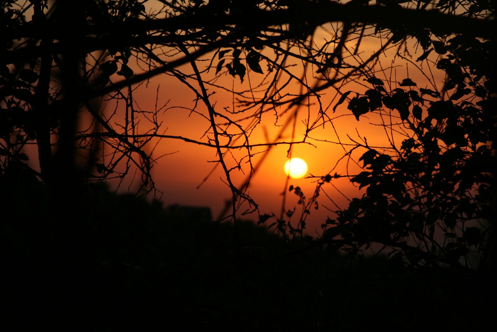 Canon EOS 400D (EOS Digital Rebel XTi / EOS Kiss Digital X) sample photo. Sunset, twilight, to emerge photography