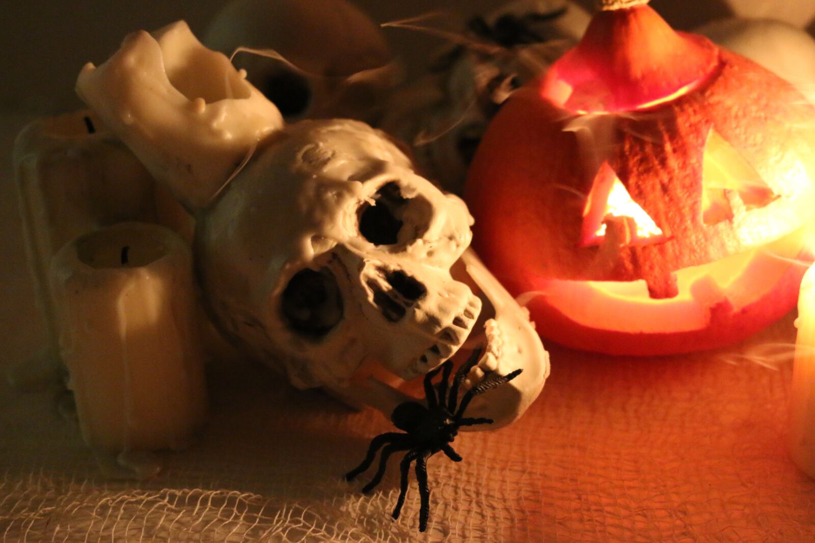 Canon EOS 70D sample photo. Skull, spider, pumpkin photography