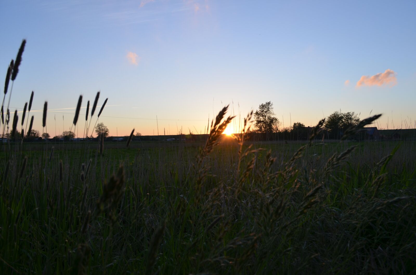 Nikon D5100 sample photo. Backlighting, north sea, dike photography