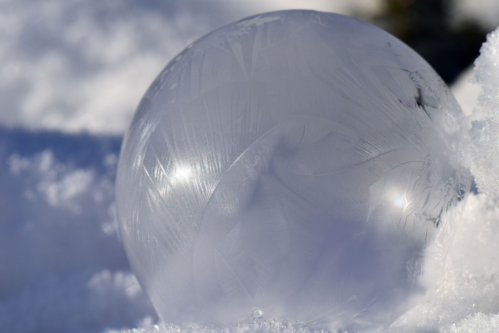 Nikon D3300 sample photo. Soap bubble, frosted, bubble photography