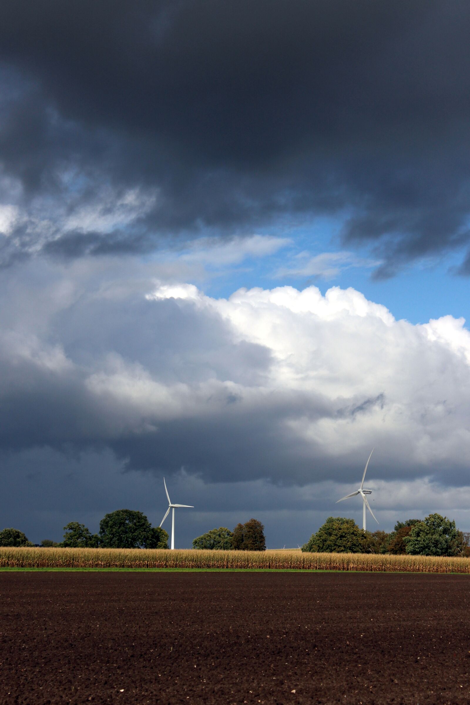 Canon EOS 1300D (EOS Rebel T6 / EOS Kiss X80) sample photo. Pinwheel, windräder, energy photography