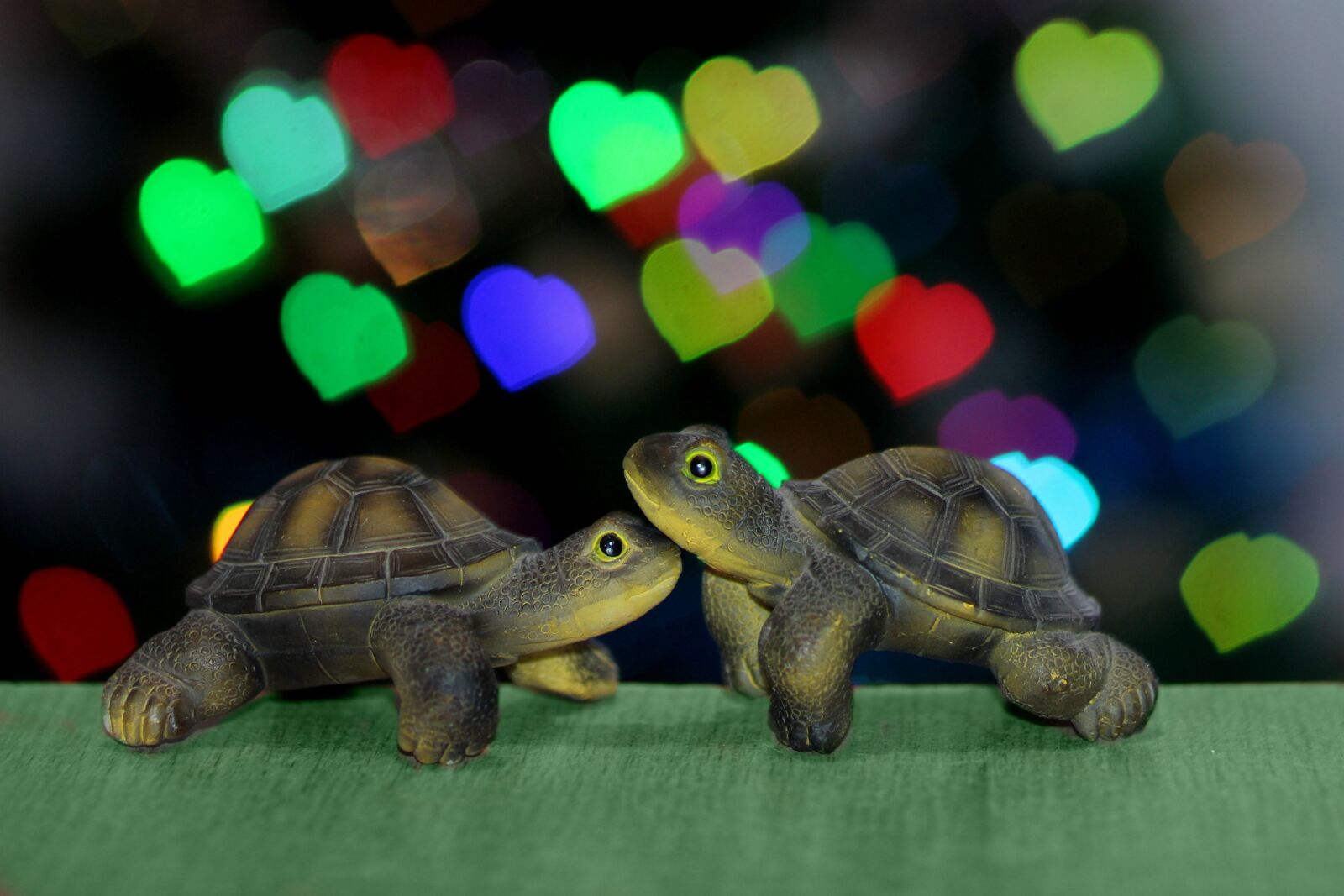 Canon EOS 700D (EOS Rebel T5i / EOS Kiss X7i) + Canon EF 85mm F1.8 USM sample photo. Tortoises, heart, bokeh photography
