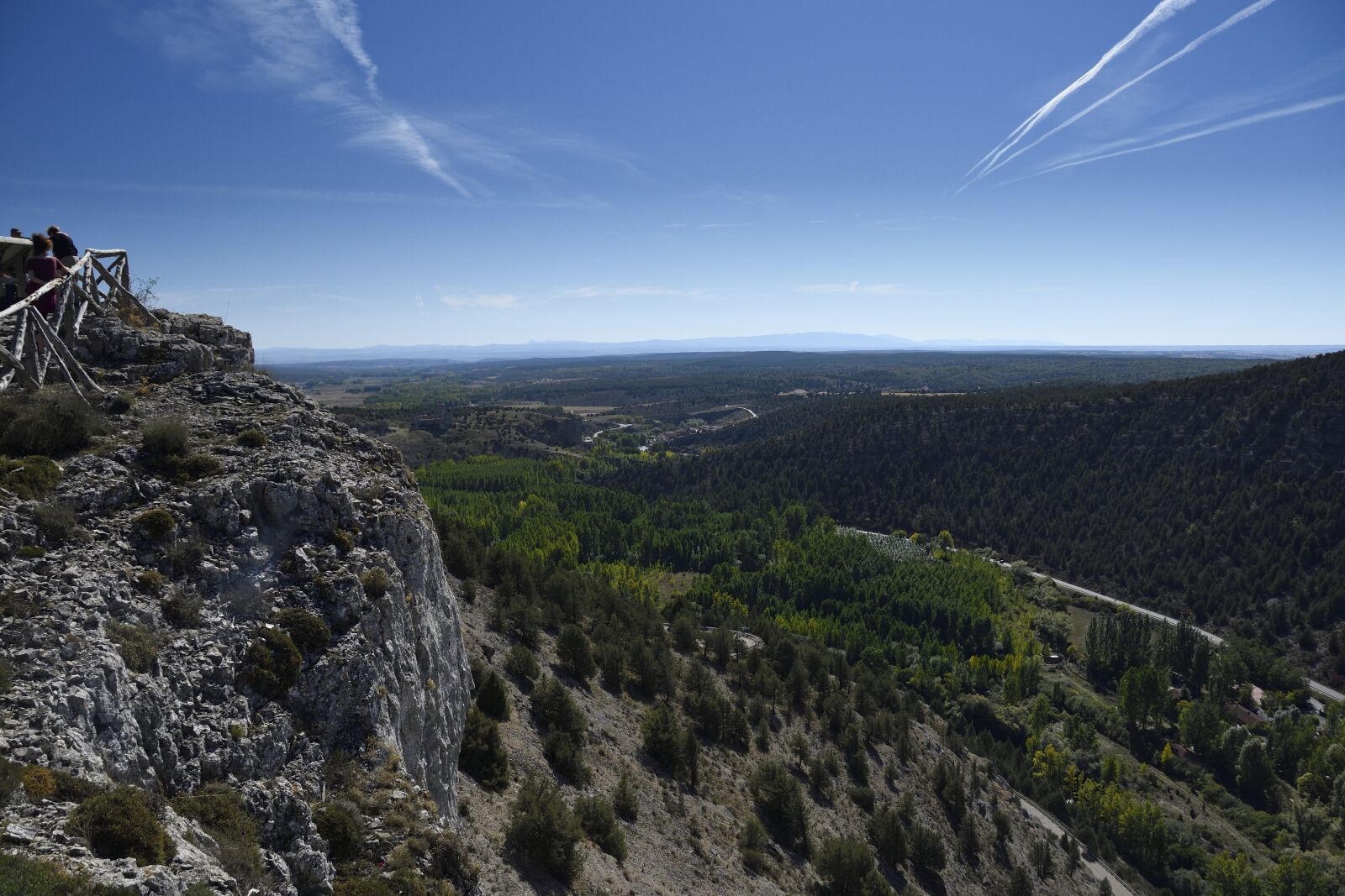 Nikon D500 sample photo. Vulture, viewpoint, mirador de photography