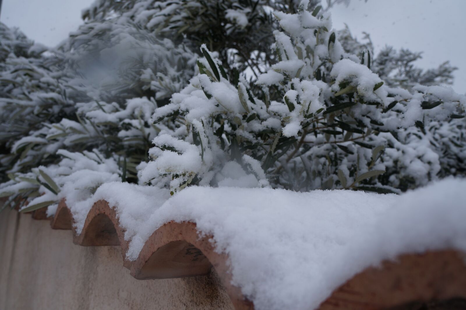 Sony Alpha a3000 + Sony E 18-55mm F3.5-5.6 OSS sample photo. Snow, winter landscape, white photography