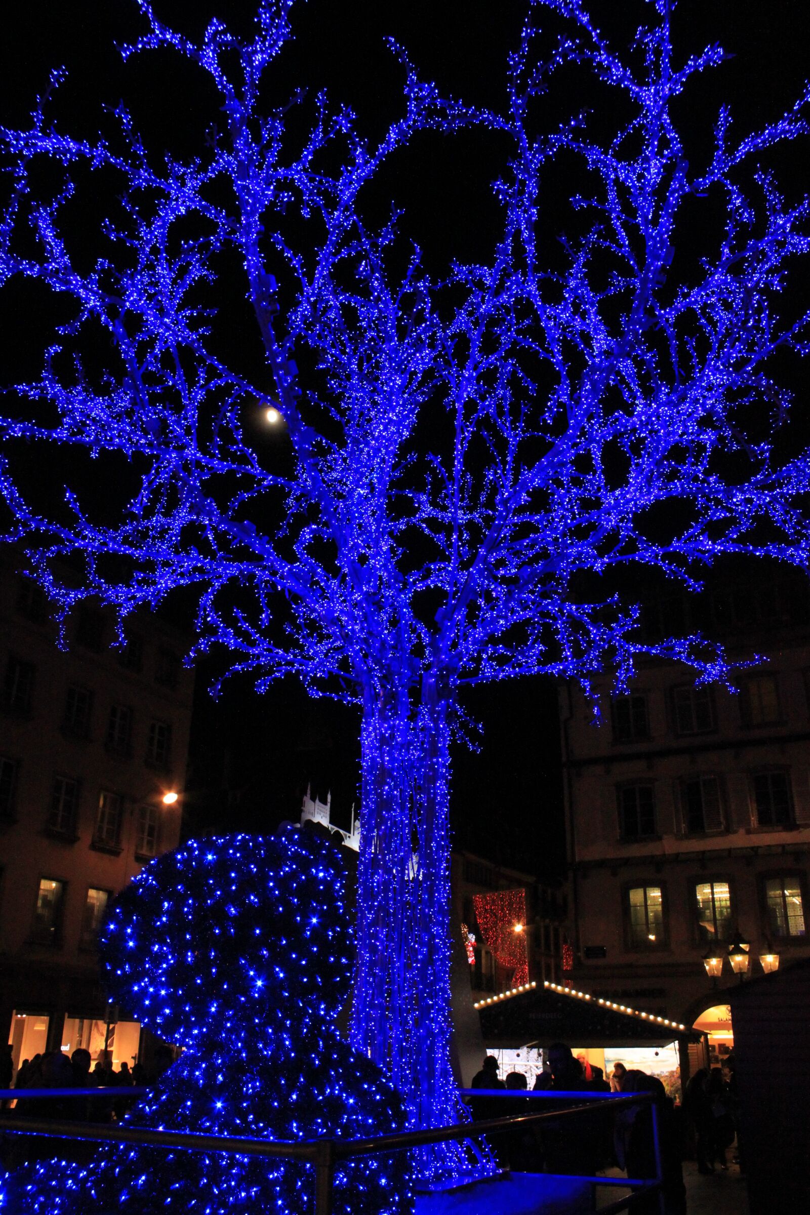 Canon EOS 500D (EOS Rebel T1i / EOS Kiss X3) sample photo. Tree, led, blue photography