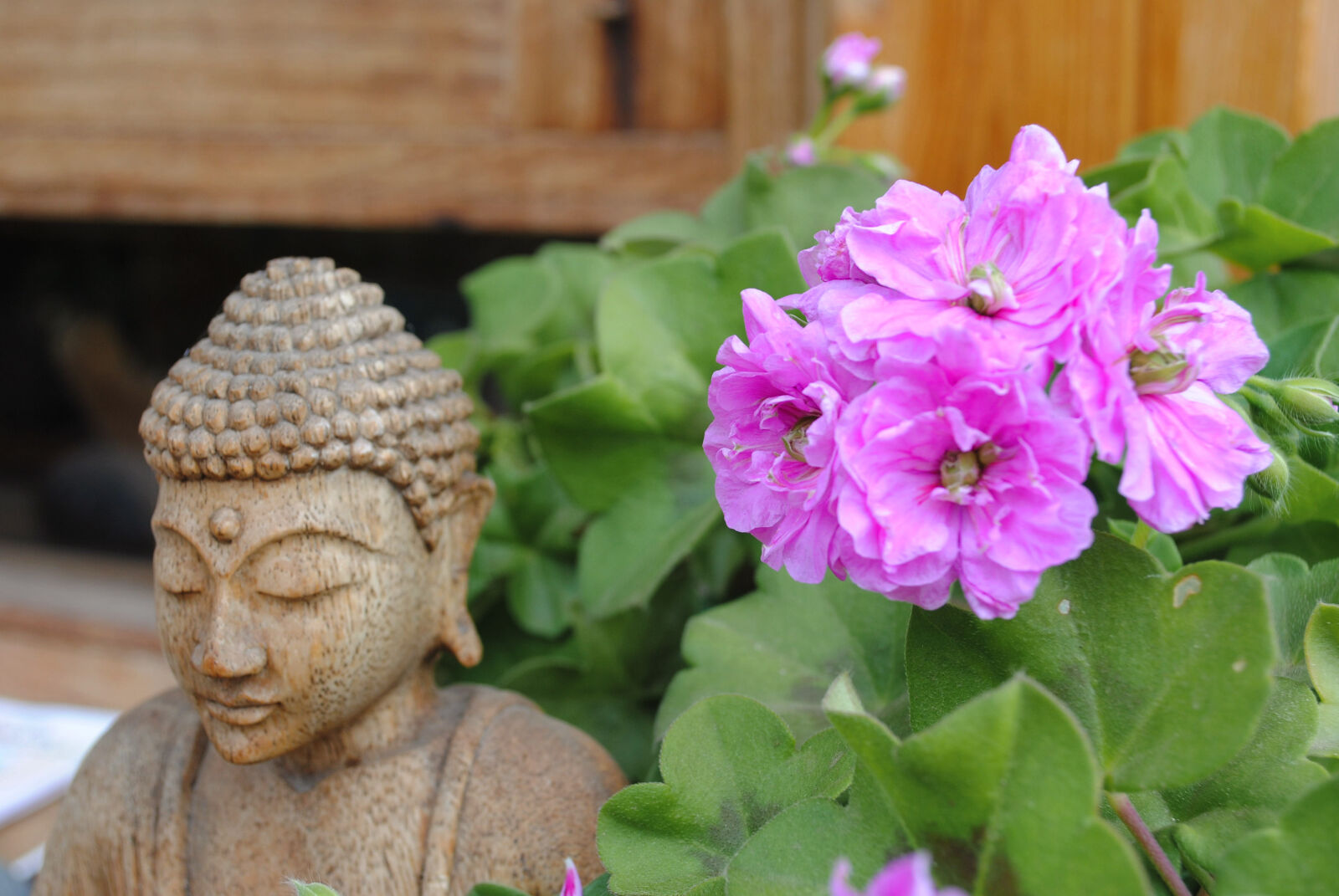 Nikon D3000 sample photo. Buddha, buddhism, flower, flowers photography