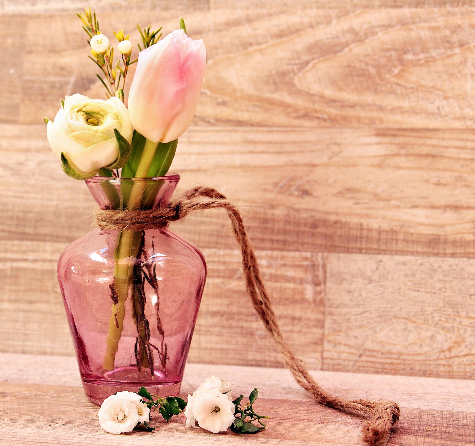 Canon EOS 550D (EOS Rebel T2i / EOS Kiss X4) sample photo. Tulips, ranunculus, vase photography