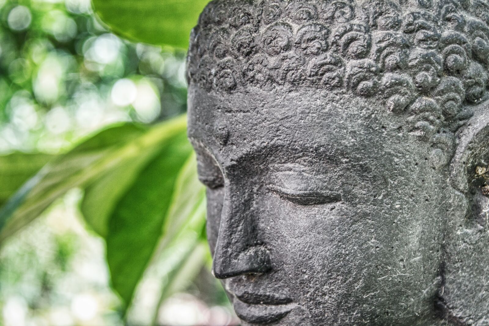 Canon EOS 1100D (EOS Rebel T3 / EOS Kiss X50) sample photo. Art, mind, buddha photography