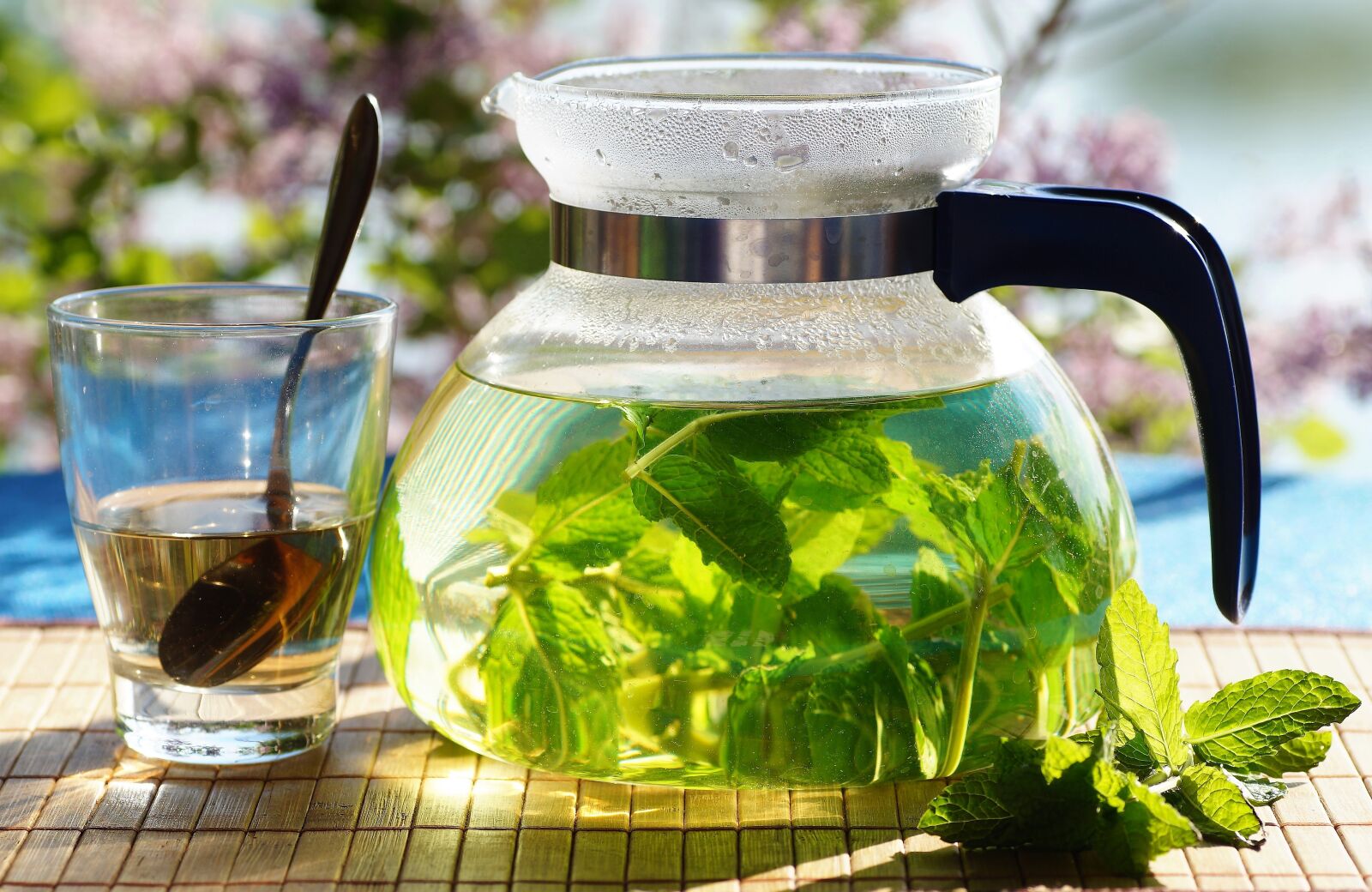 Sony SLT-A58 sample photo. Fresh, mint, tea photography