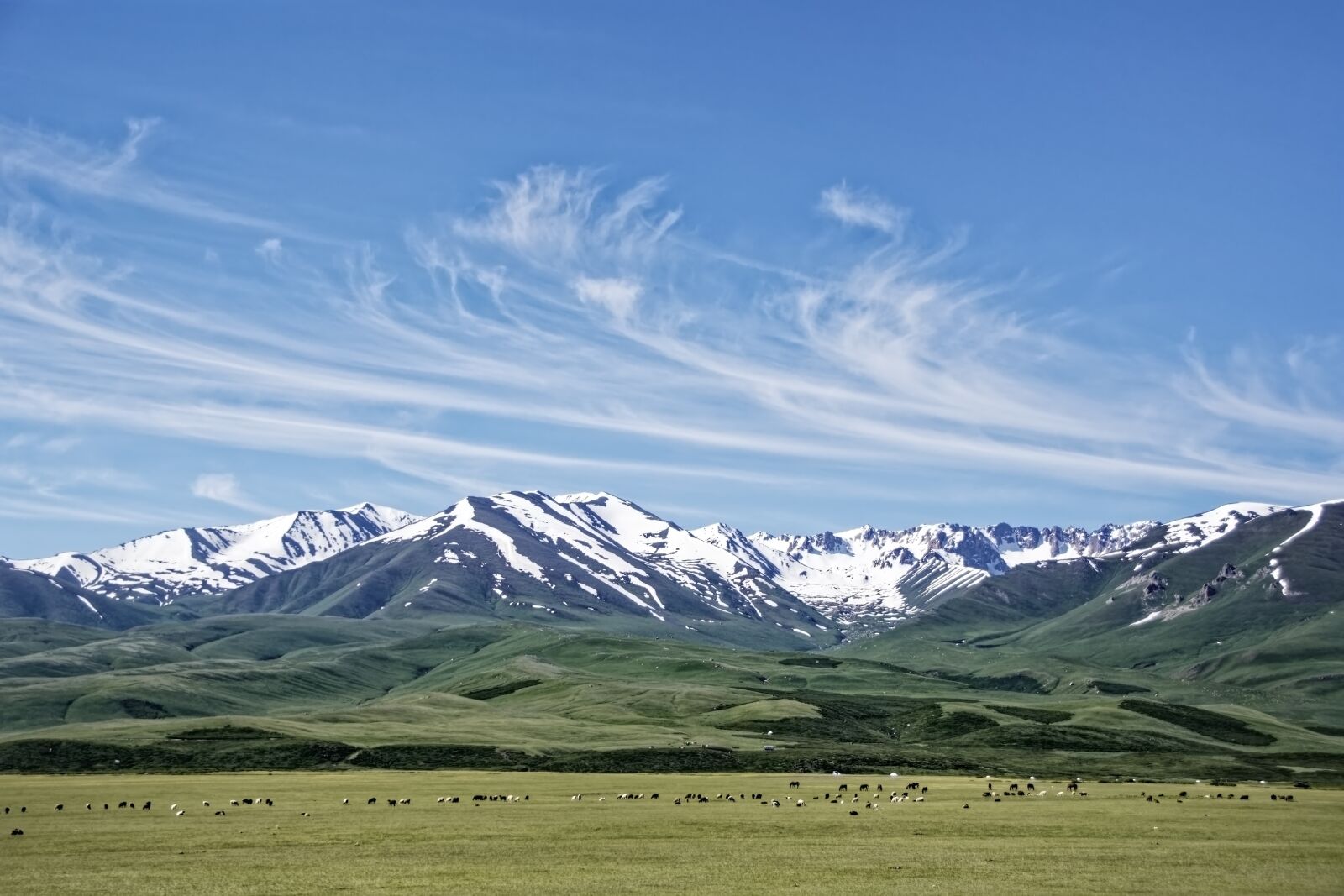 Nikon D500 sample photo. Kyrgyzstan, mountains, suusamyrtoo mountain photography