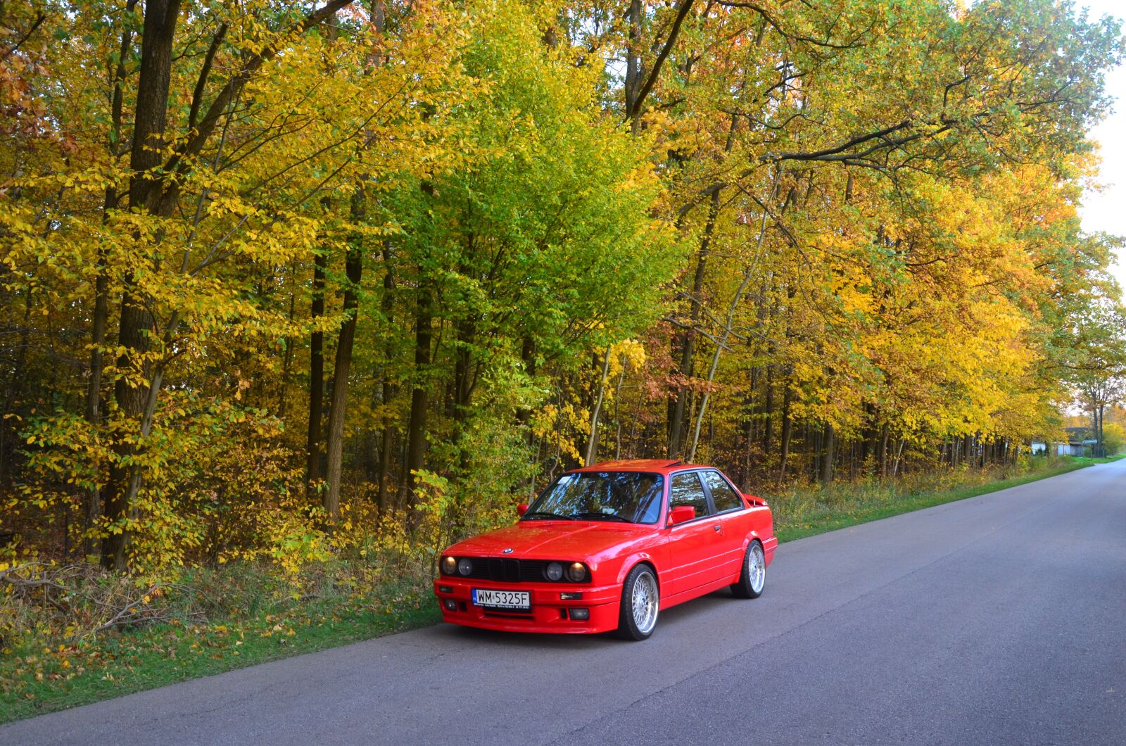 Nikon D5100 sample photo. Car, bmw, red photography