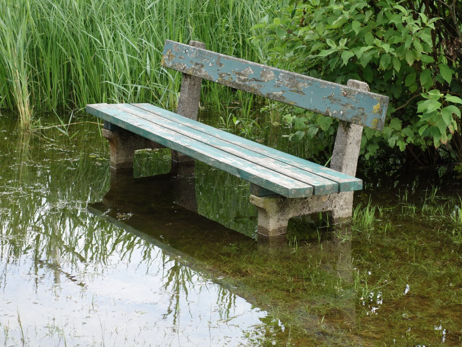 Sony Cyber-shot DSC-RX100 II sample photo. Bank, high water, flood photography