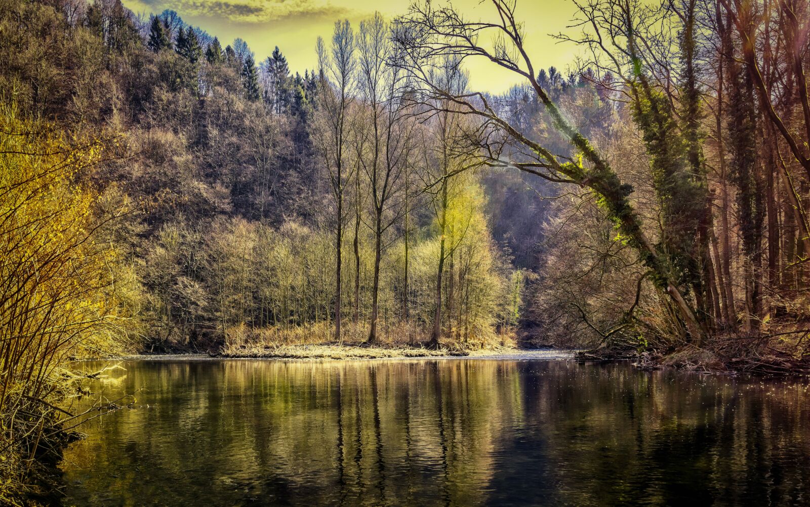 Nikon D3300 sample photo. Forest, lake, nature photography