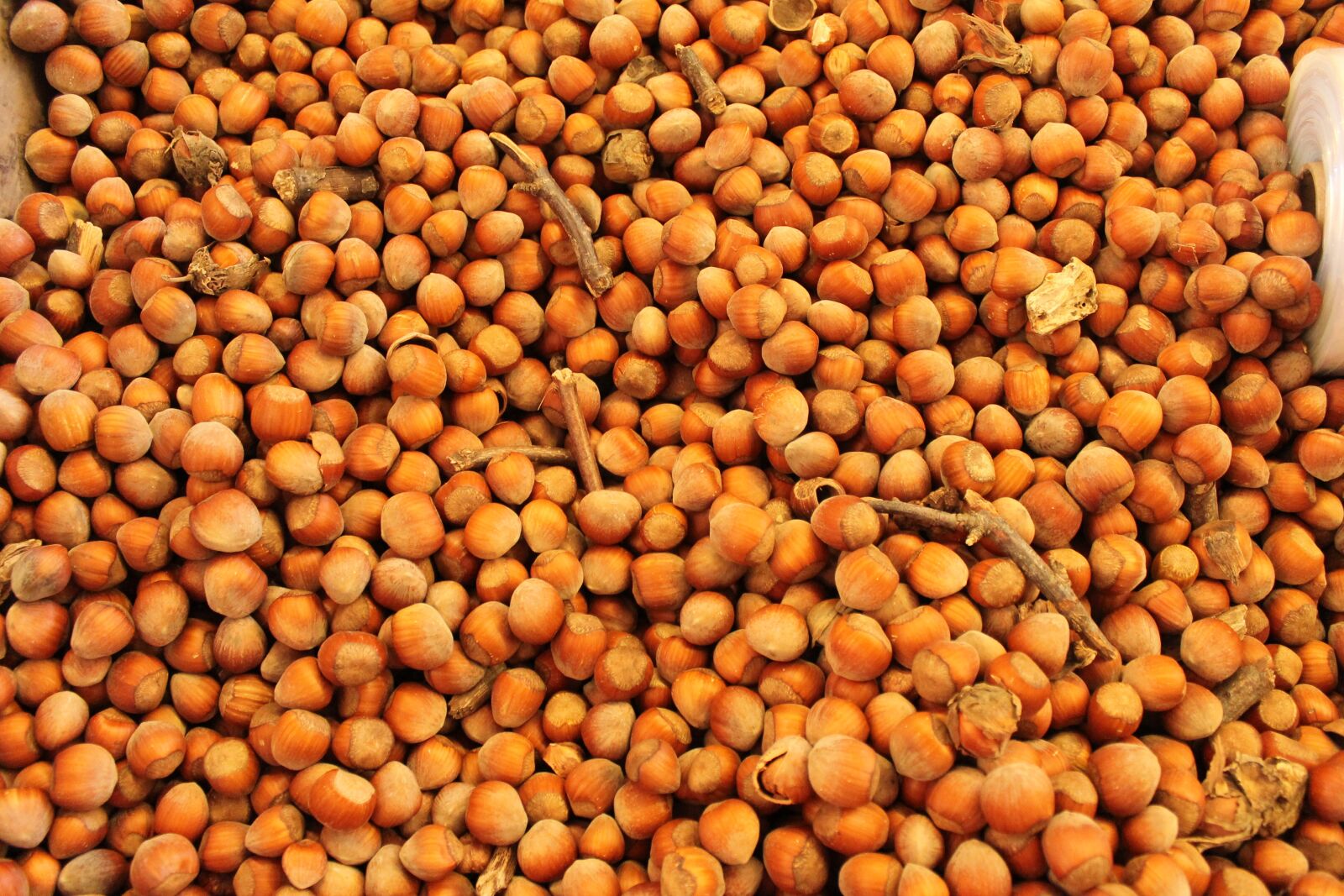 Canon EOS 1100D (EOS Rebel T3 / EOS Kiss X50) sample photo. Nuts, brown, food photography