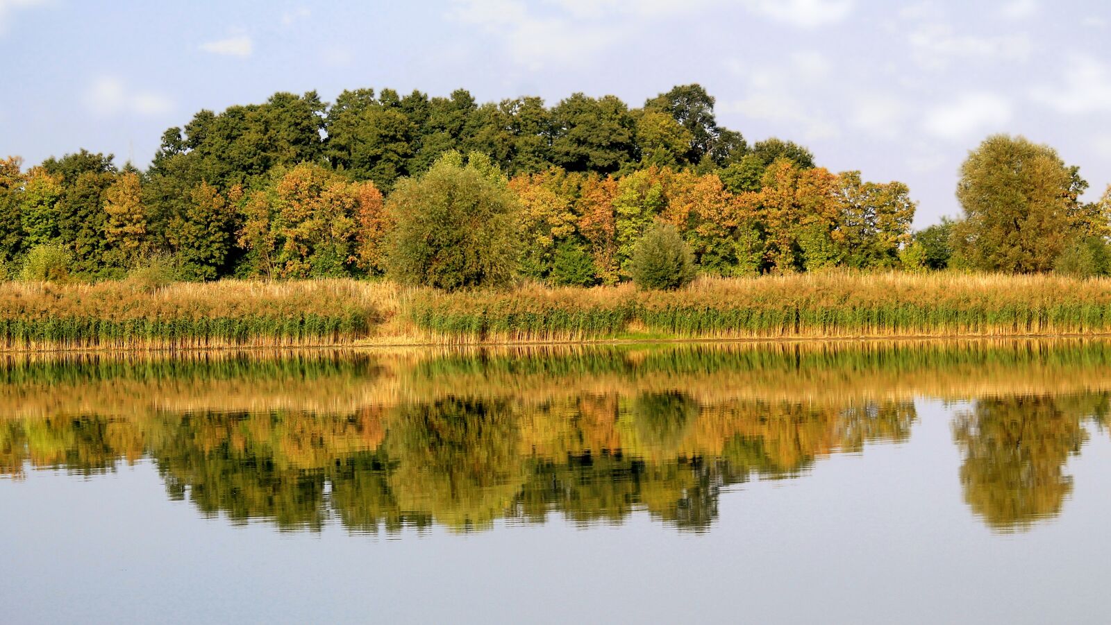 Canon EF-S 55-250mm F4-5.6 IS STM sample photo. Landscape, mirroring, trees photography
