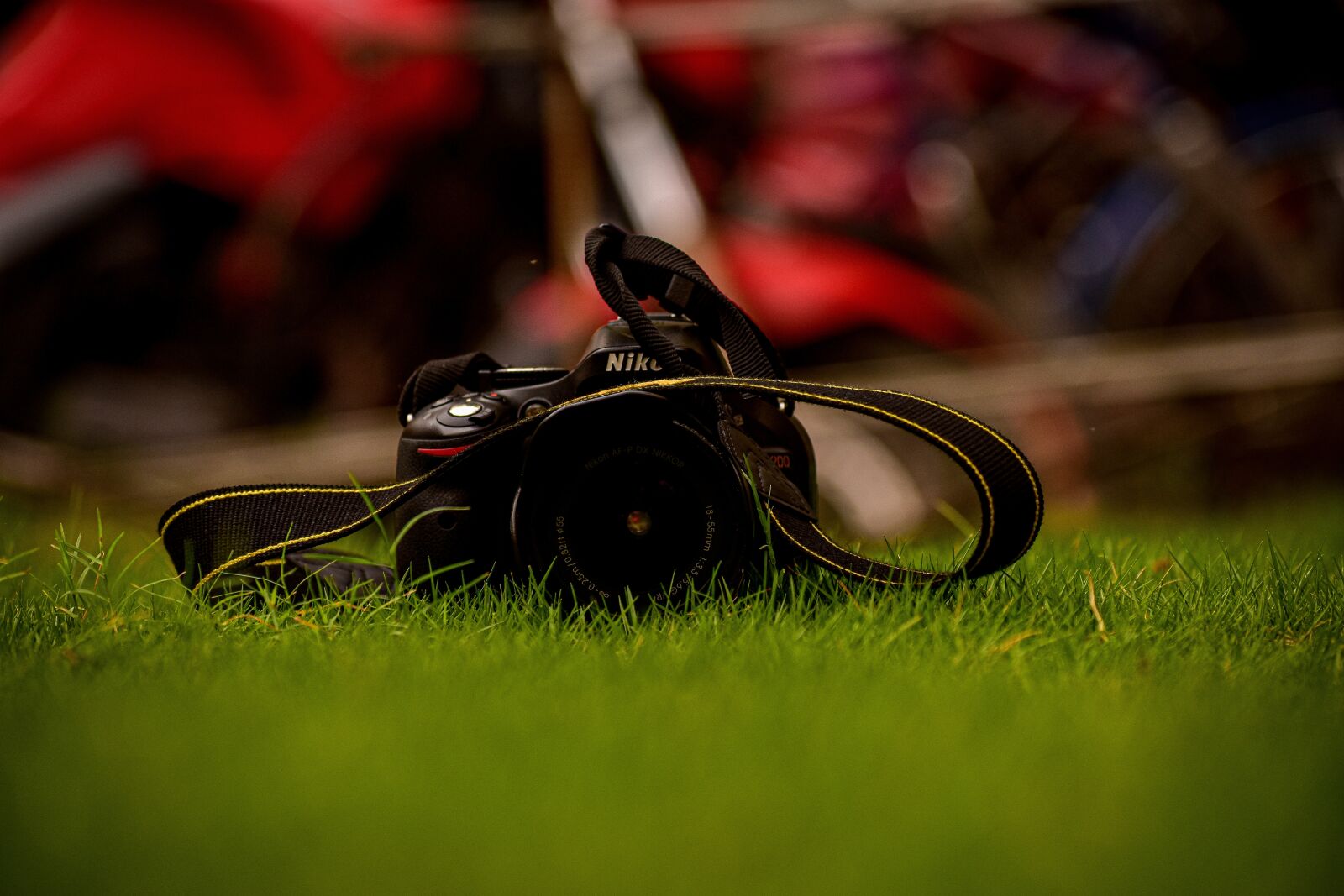 Nikon D3400 sample photo. Camera, grass, dslr photography