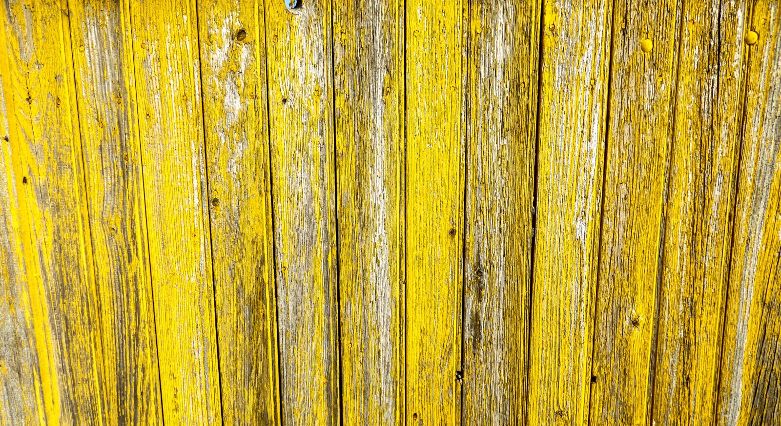 Panasonic DMC-FZ72 sample photo. Background, fence, wood photography