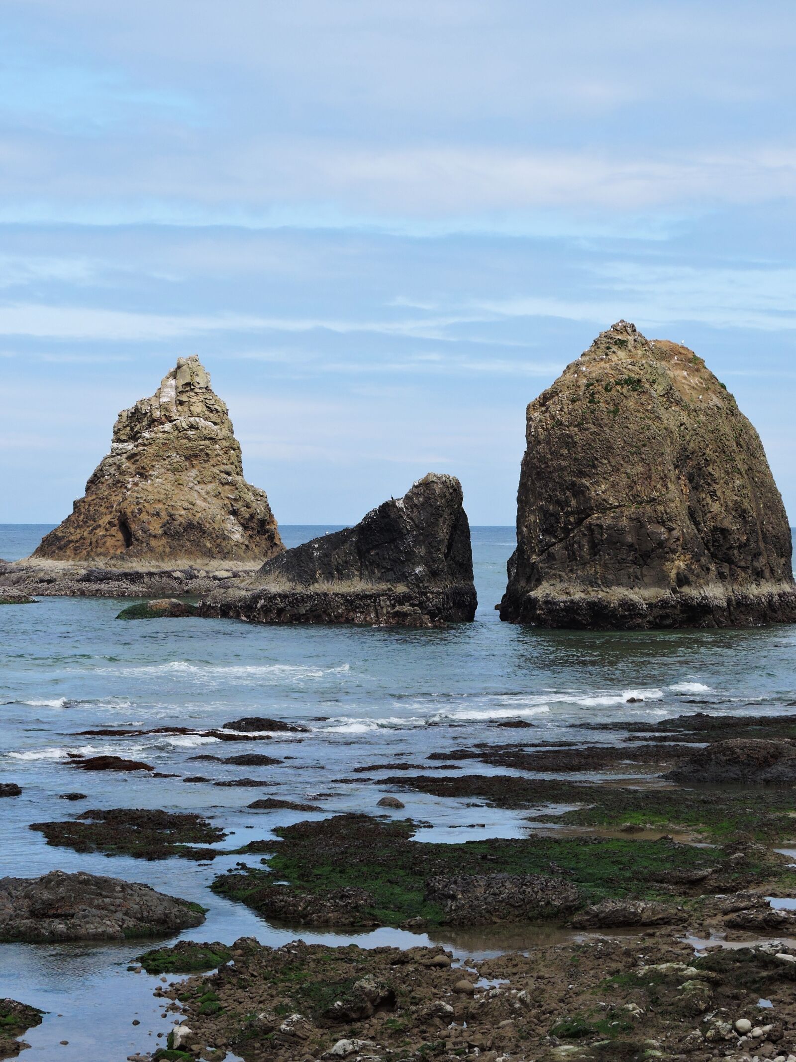 Nikon Coolpix P600 sample photo. Coast, oregon coast, ocean photography