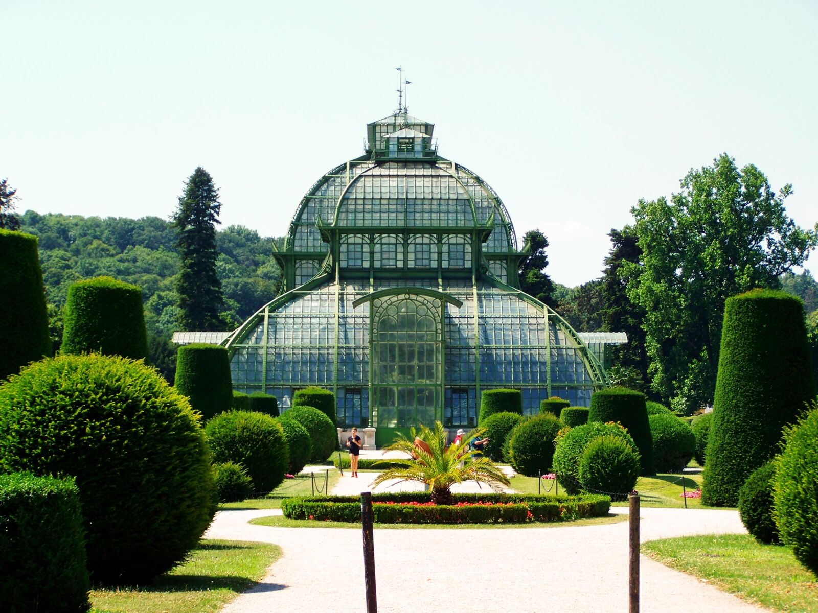Kodak EASYSHARE ZD710 ZOOM DIGITAL CAMERA sample photo. Palm house, sch nbrunn photography