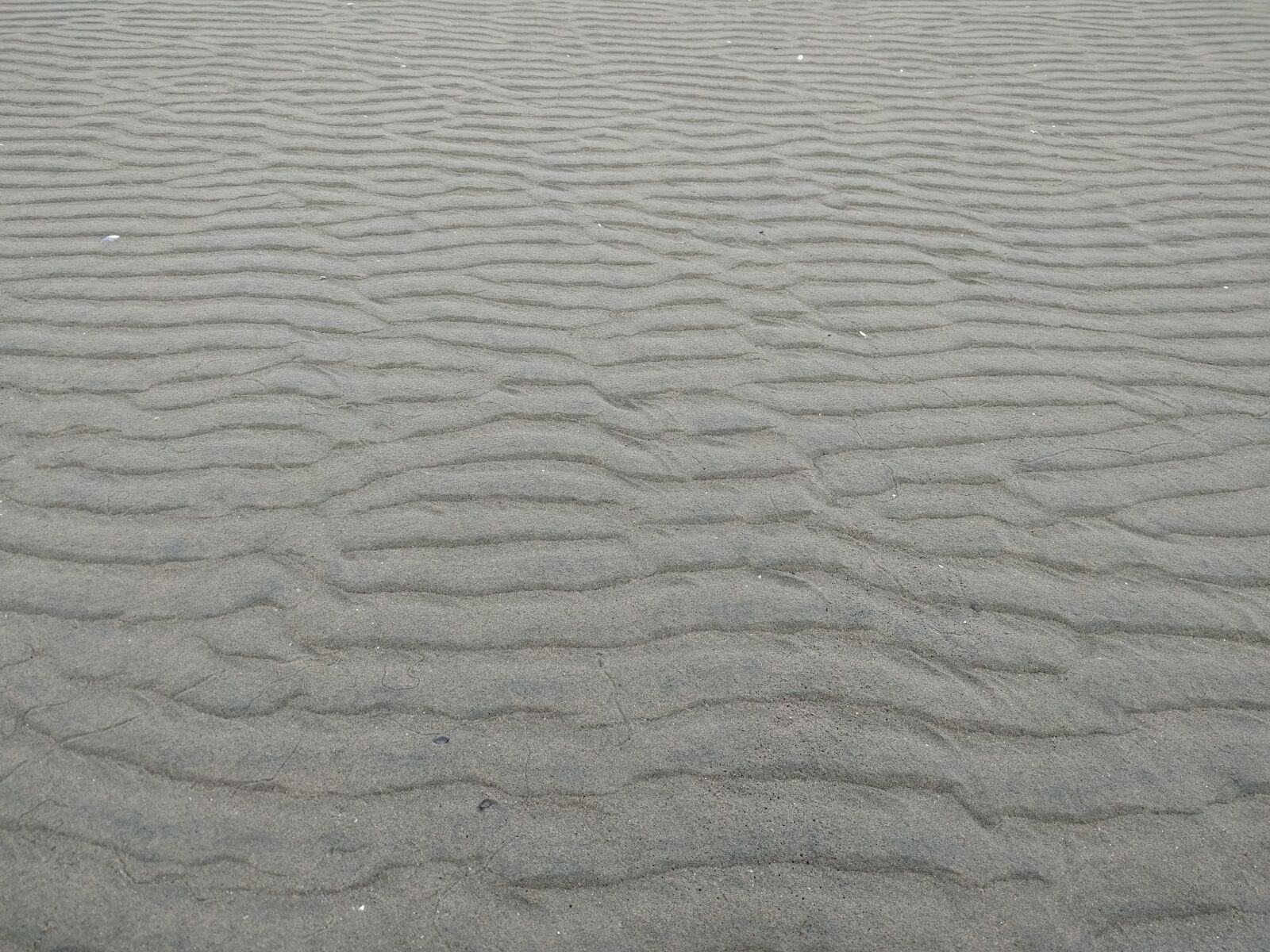 LG Nexus 5X sample photo. Sand, structure, bank photography