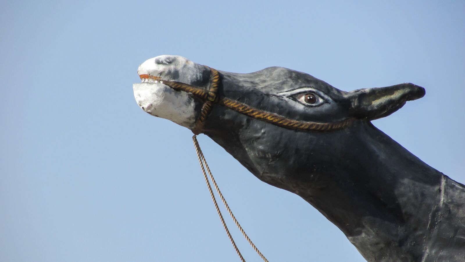 Canon PowerShot SX400 IS sample photo. Donkey, decorative, tourism photography