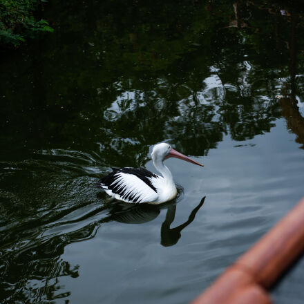 Canon EOS 6D + Canon EF 50mm F1.8 STM sample photos - ExploreCams