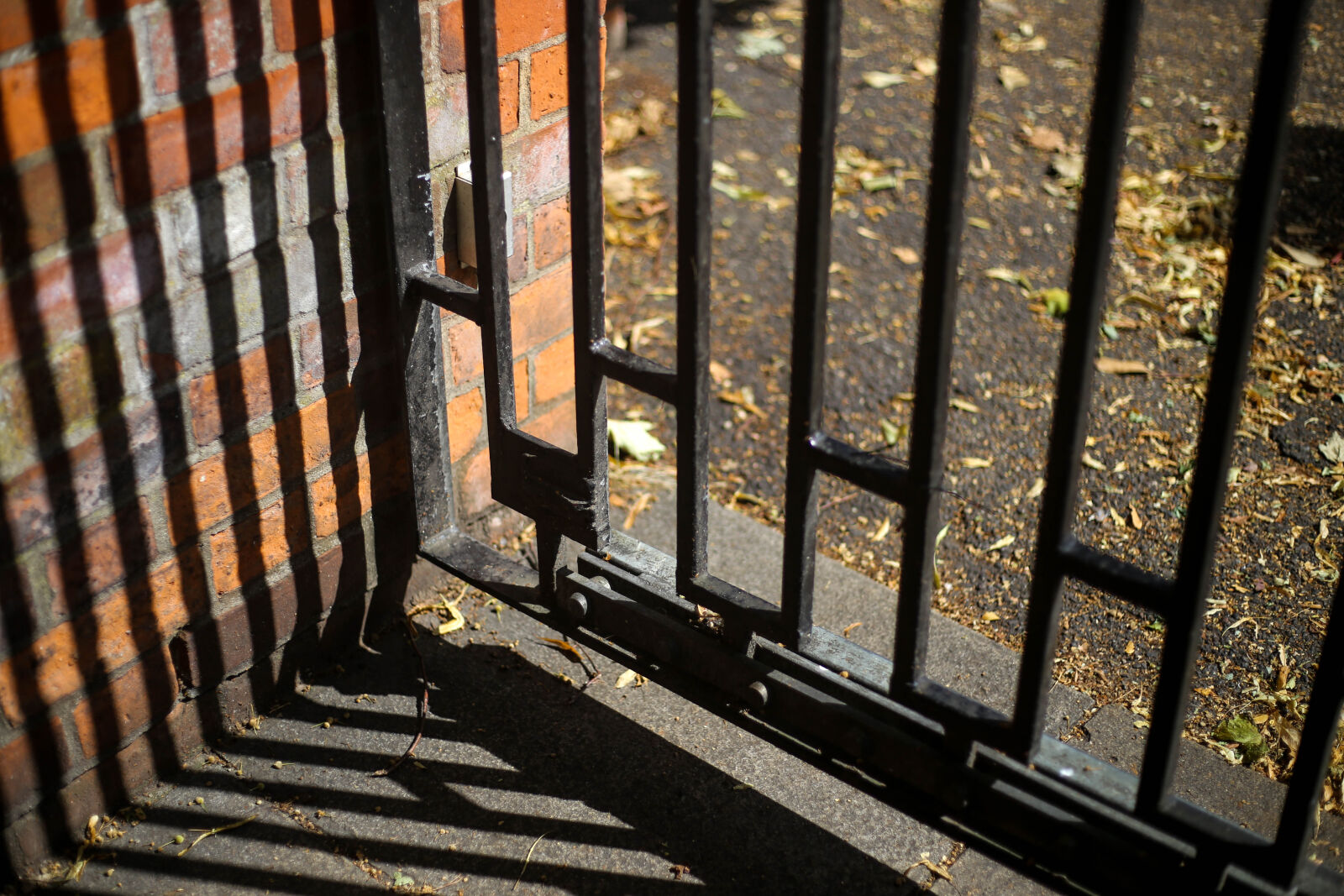 Canon EF 50mm F1.8 STM sample photo. Iron, gate, with, fallen photography
