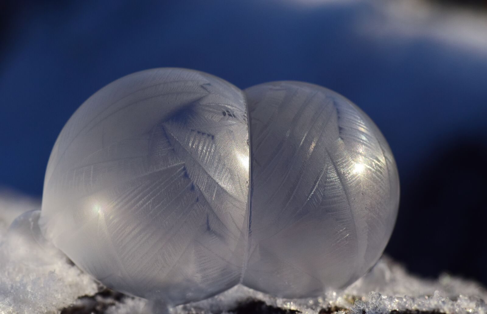 Nikon D3300 sample photo. Ball, frozen, frosted photography