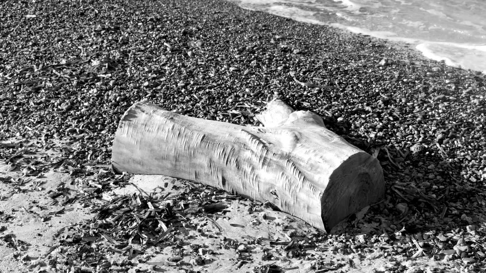 Nikon D3300 sample photo. Wood, woodwind, beach photography